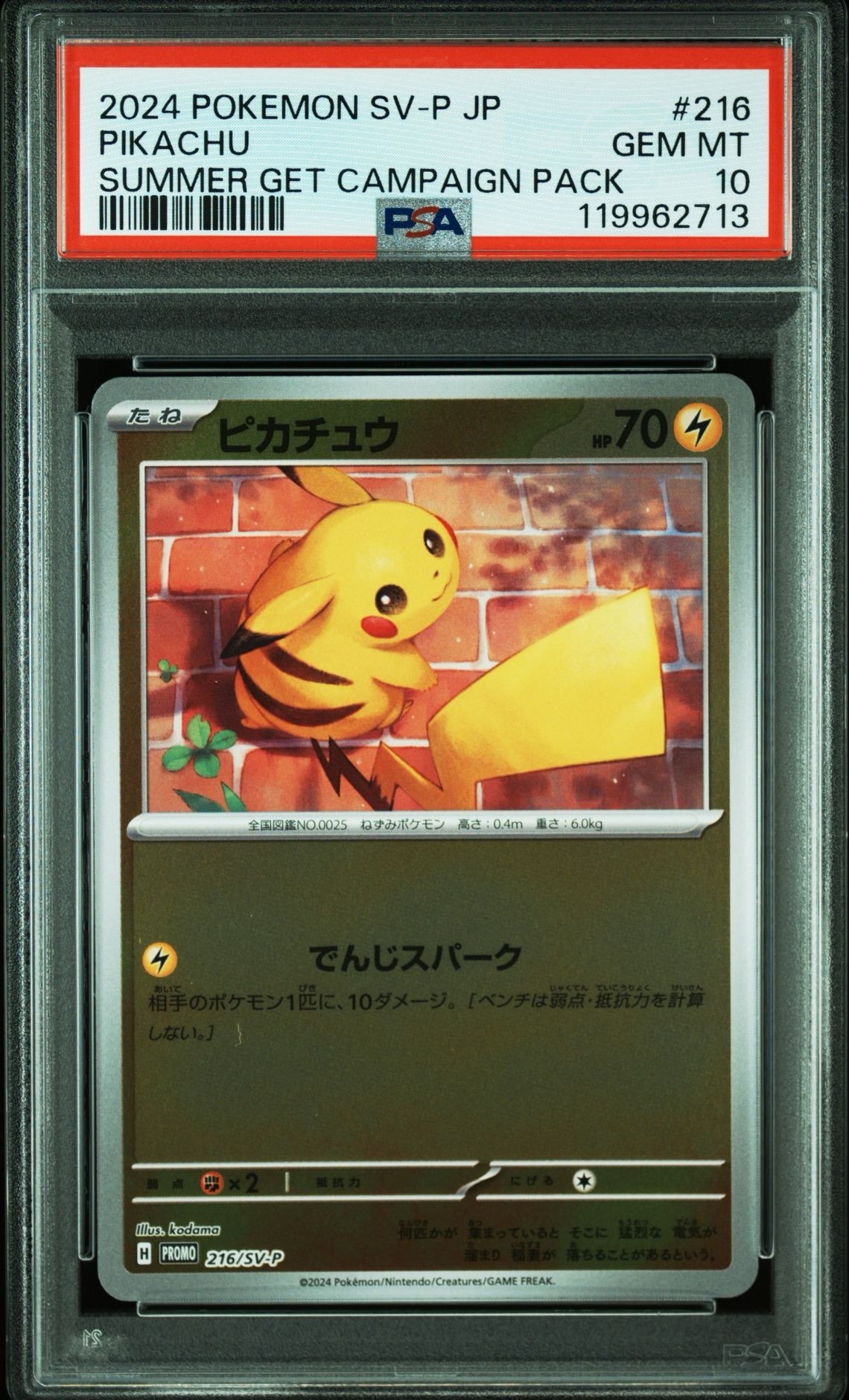 ピカチュウ P [SV-P 216](プロモカードパック「ポケカの夏がキタ