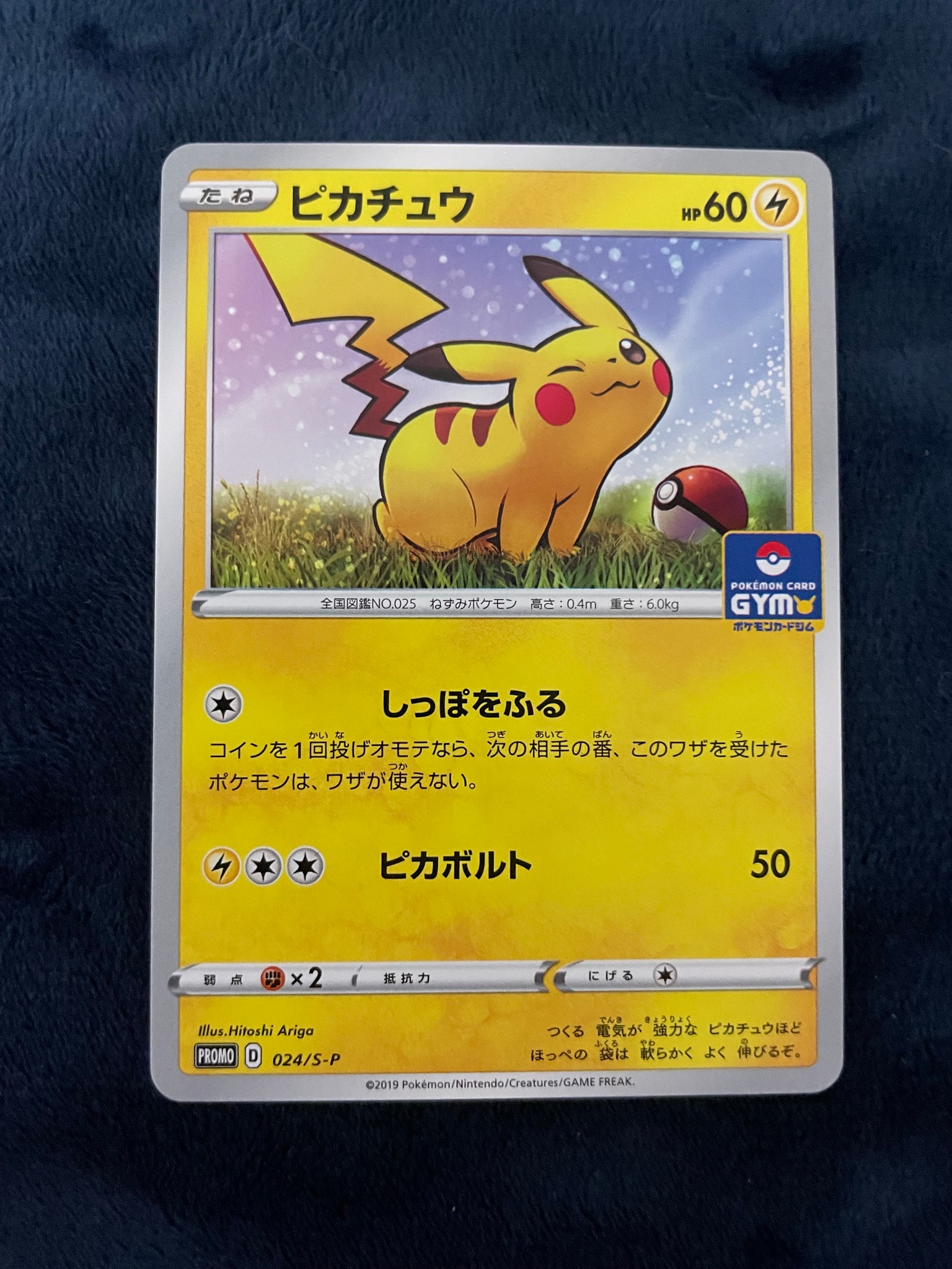 ピカチュウ: プロモ P [S-P 024](ポケモンカードゲーム ソード