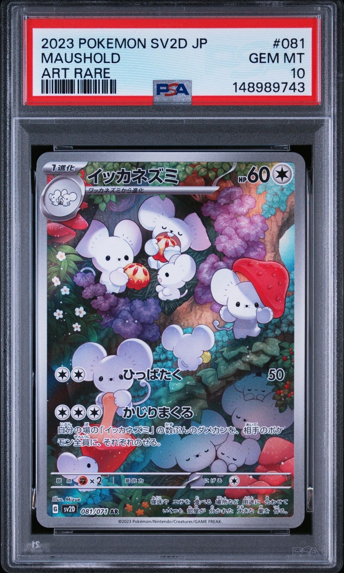 イッカネズミ AR[SV2D 081/071](拡張パック「クレイバースト」)の新品