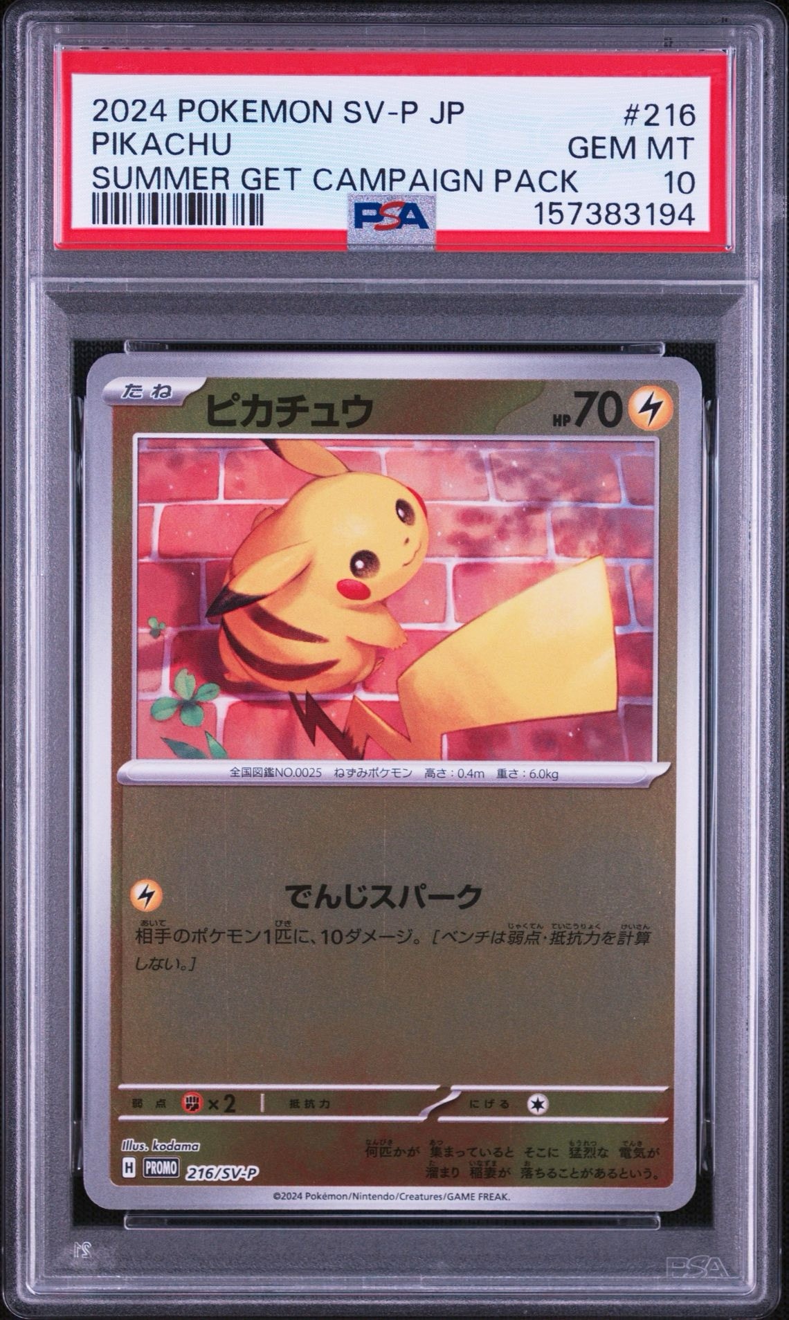 ピカチュウ P [SV-P 216](プロモカードパック「ポケカの夏がキタ