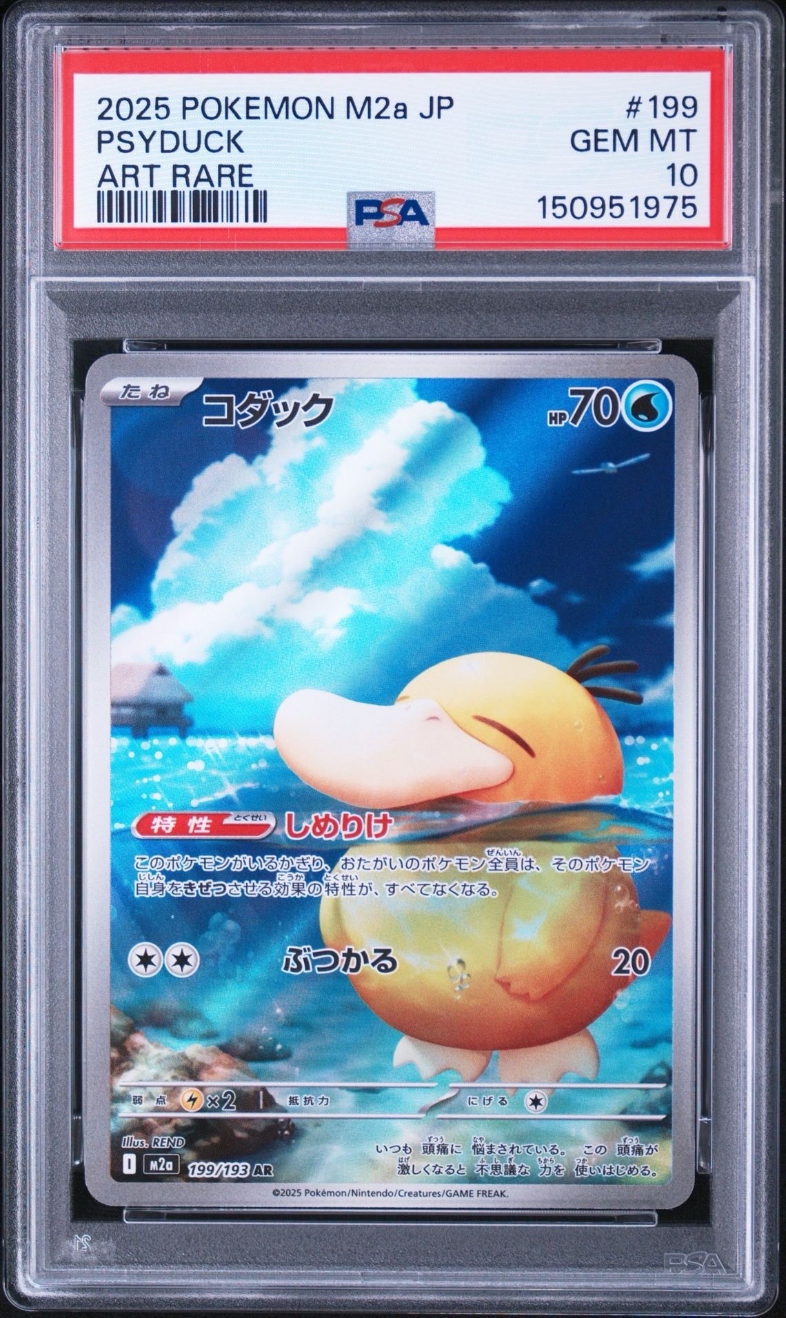 プテラ ☆ : 旧裏 [neo3 No.142](ポケモンカード☆neo 拡張パック