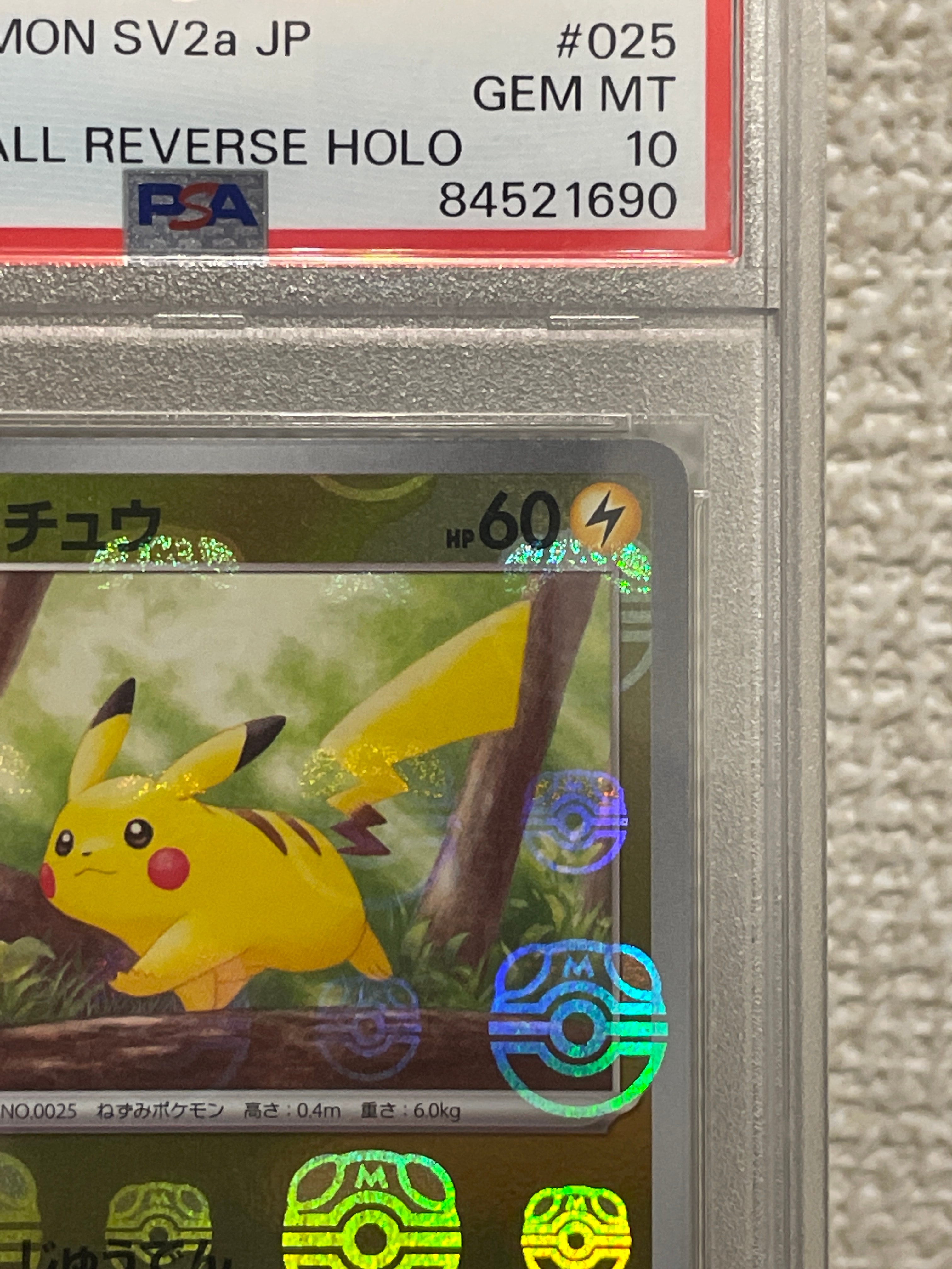 rare oddish pokemon card Oddish 092/091 Paldean Fates Shiny Rare Holo Pokemon Card NM