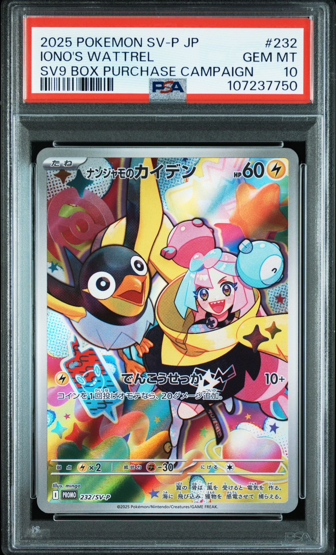 ナンジャモのカイデン P [SV-P 232](プロモーションカード「拡張パック バトルパートナーズ Box購入キャンペーン」)