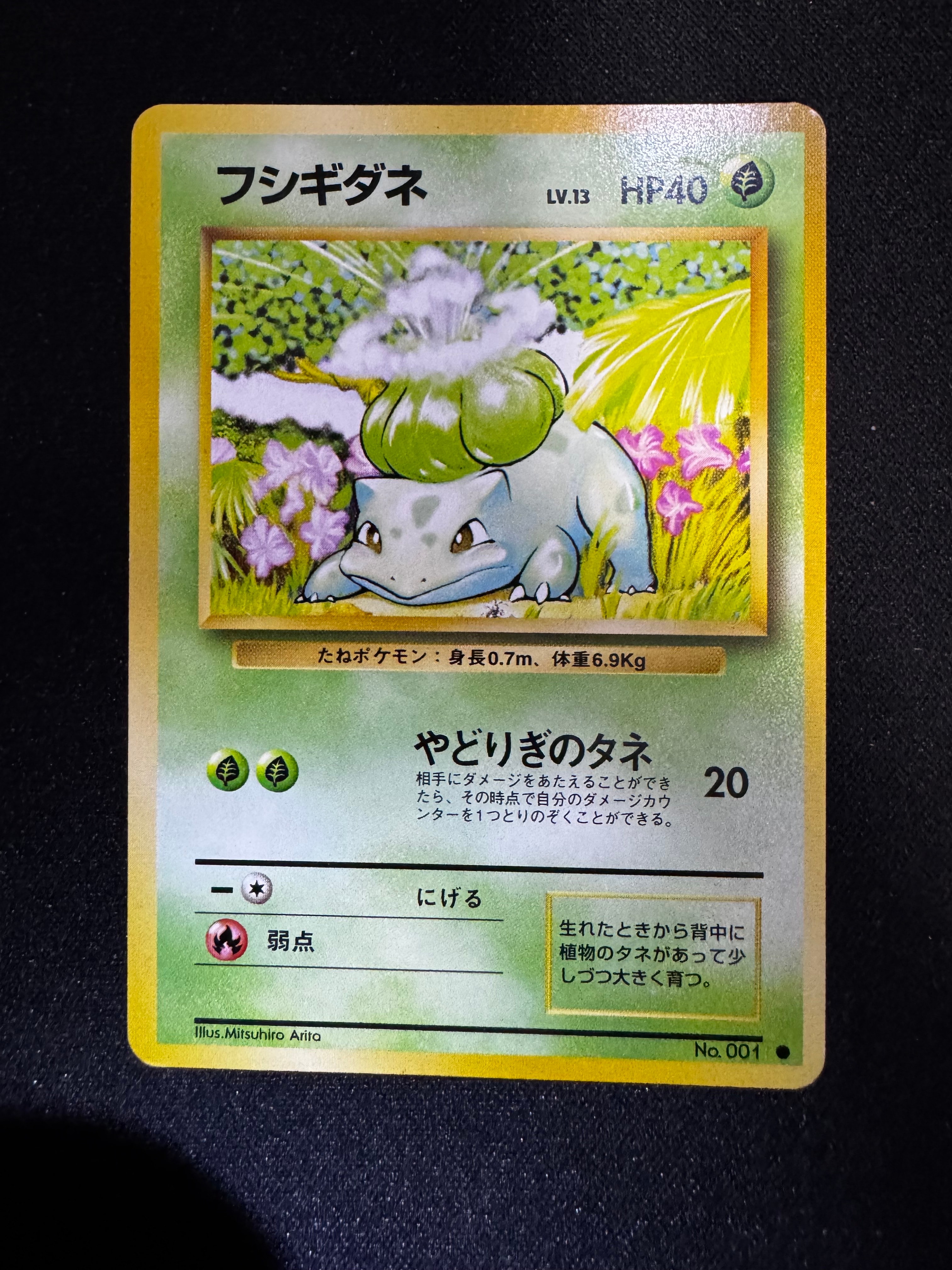 フシギダネ ● : 旧裏 [PMCG1-2](拡張パック「ポケットモンスター カードゲーム」再販)