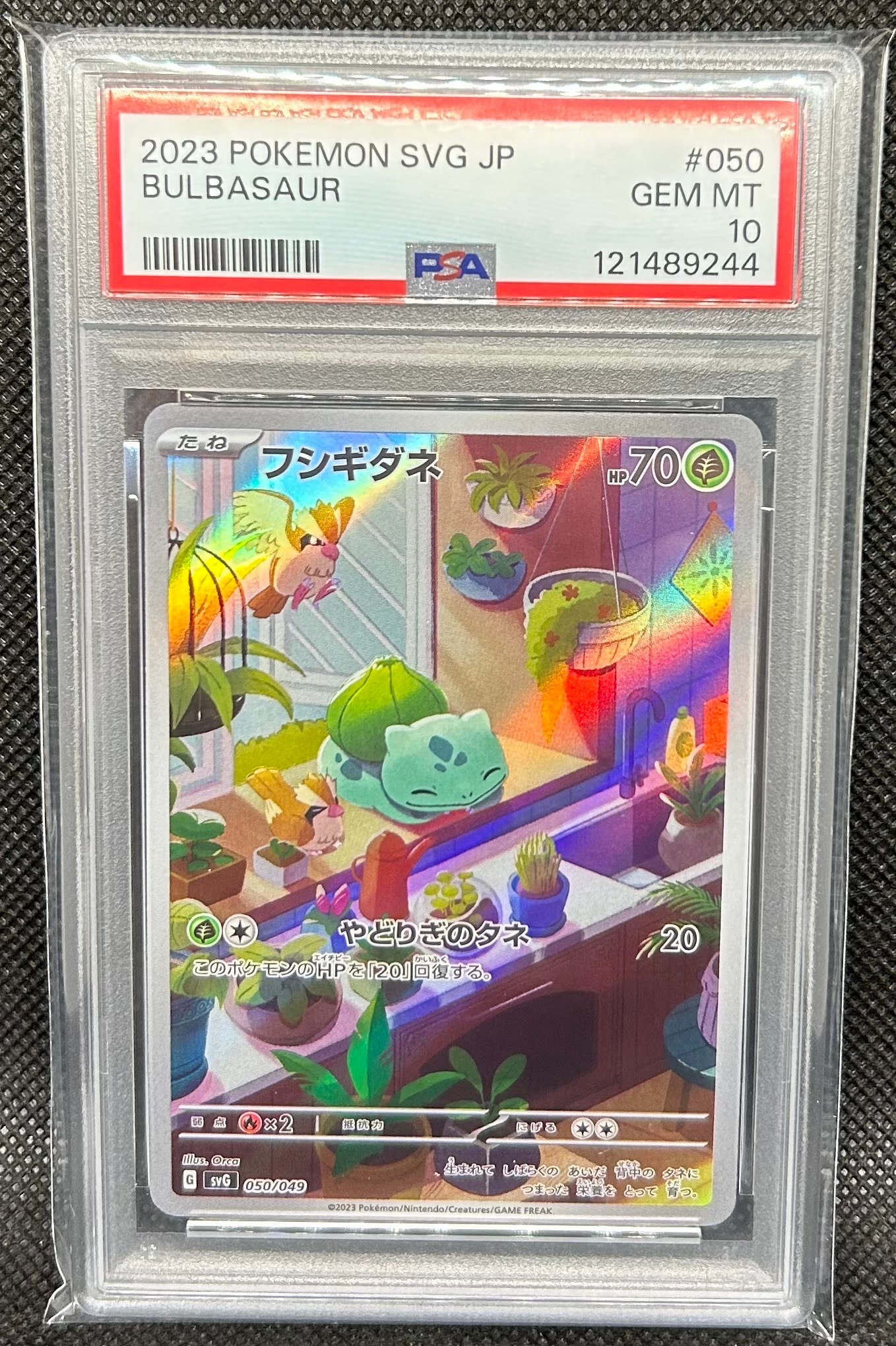 フシギダネ :フルイラスト [SVG 050/049](スペシャルデッキセットex「フシギバナ・リザードン・カメックス」)