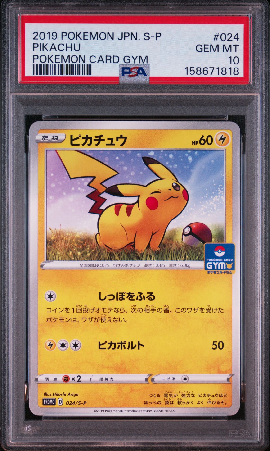 ピカチュウ: プロモ P [S-P 024](ポケモンカードゲーム ソード