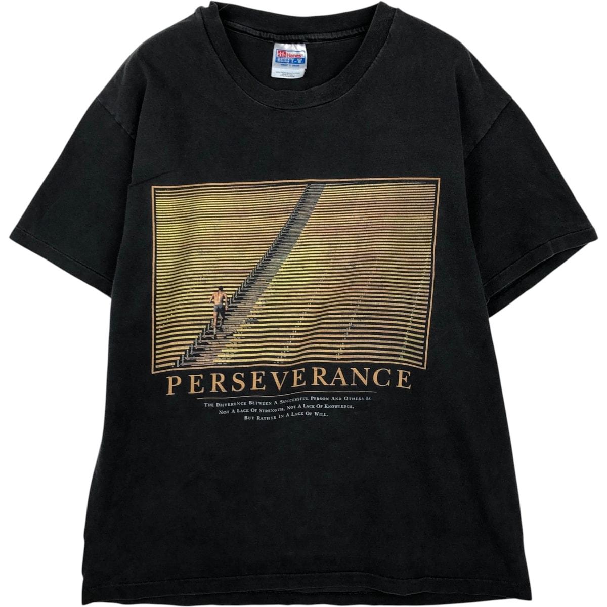 古着 00年代 ヘインズ Hanes BEEFY-T フォトTシャツ USA製 メンズL相当/eaa633627