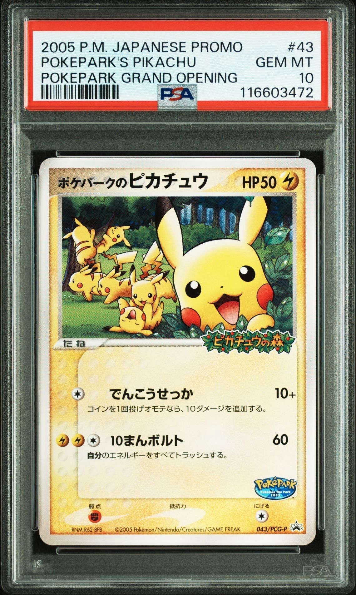 ポケパークのピカチュウ P [PCG-P 043](プロモーションカード「ポケパーク ルギアのくるくるシップ」)