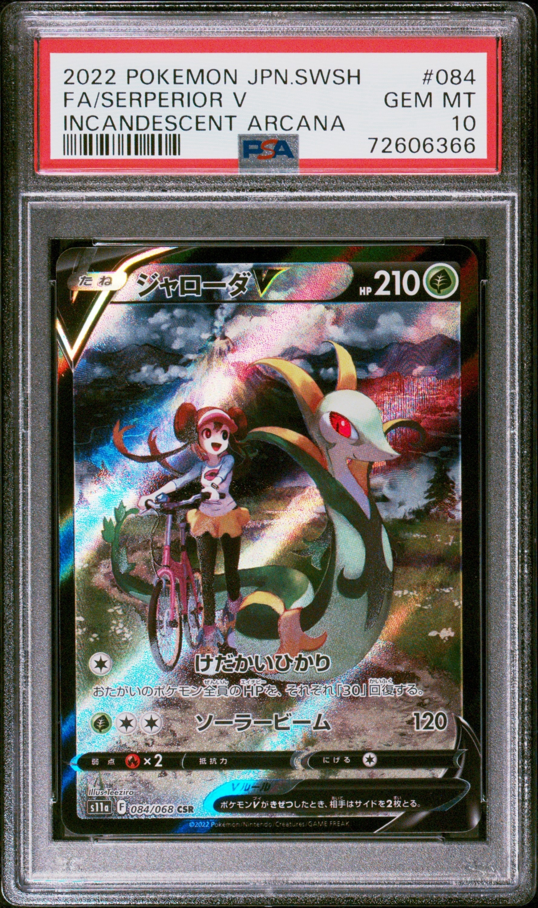 ポケモンナース [CLF 028/032](ポケモンカードゲーム Classic)の新品