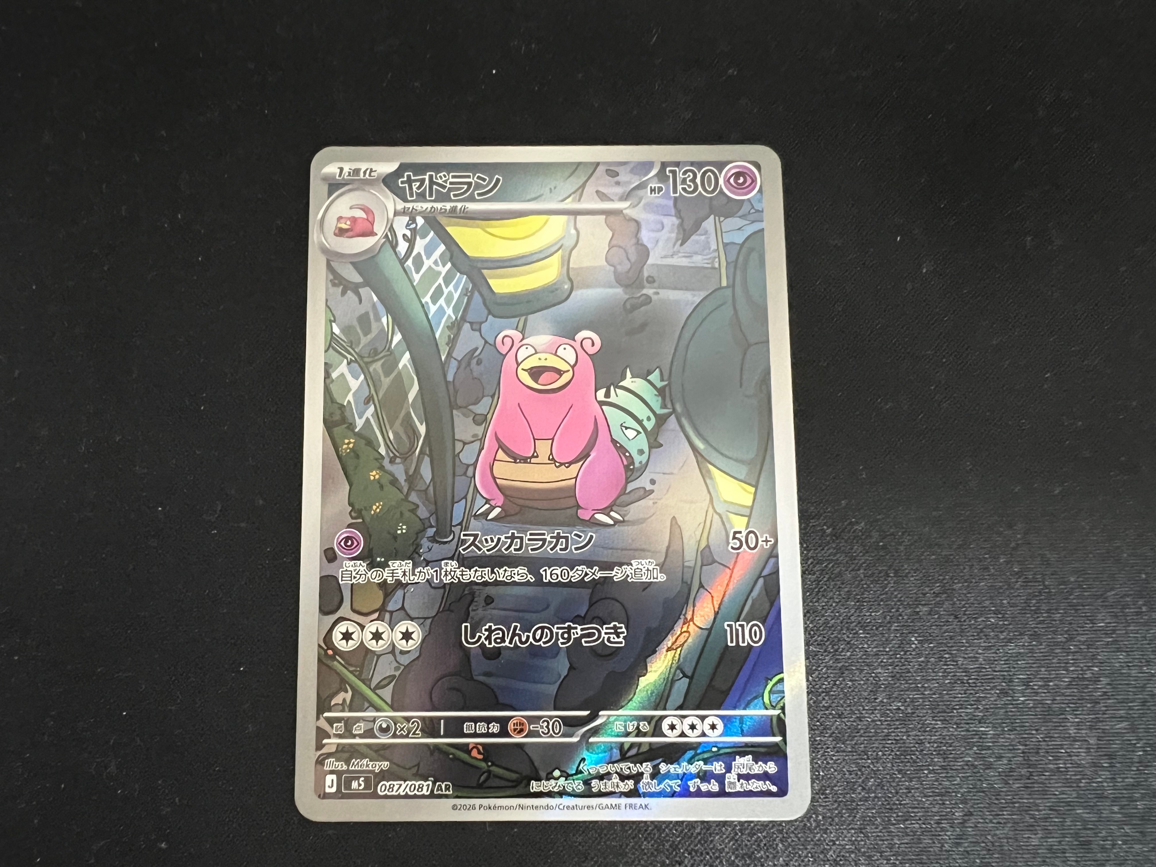 ビクティニ BWR プロモ 288/SV-P 争奪戦 ビクティニ BWR PROMO プロモ 288/SV-P 争奪戦 未開封 【公式通販】