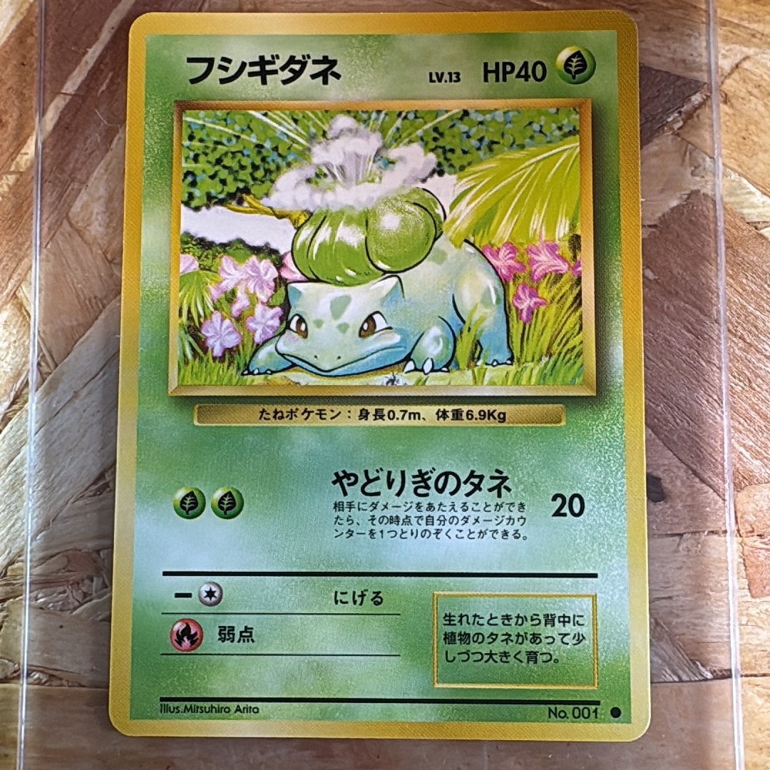 フシギダネ ○ : 旧裏 [PMCG1-2](拡張パック「ポケットモンスター