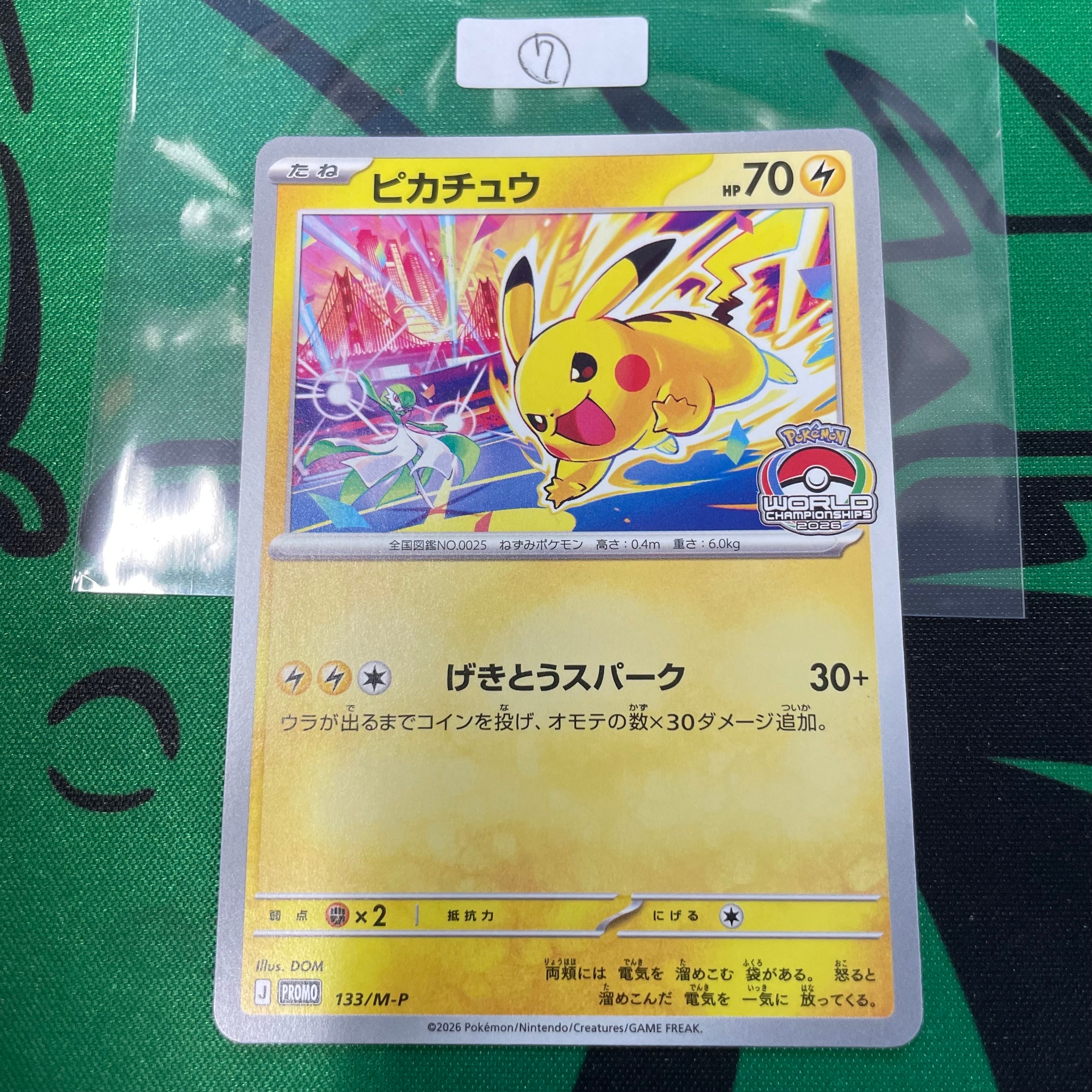 ピカチュウ&ゼクロムGX SR: SA [SM9 101/095](拡張パック「タッグ