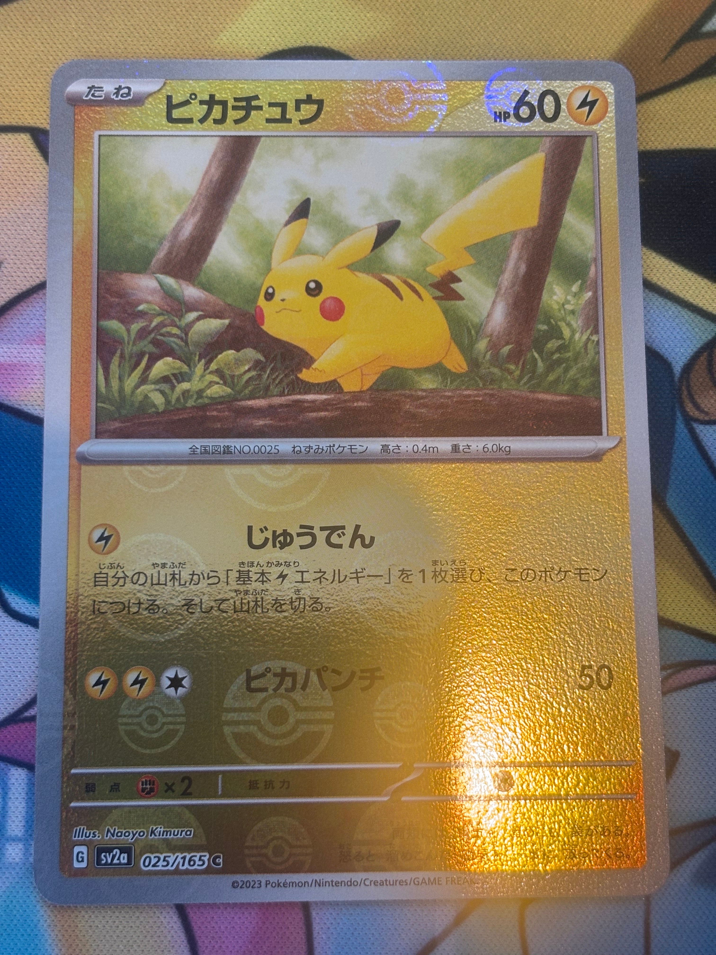 ゼニガメ C: マスターボールミラー[SV2a 007/165](強化拡張パック