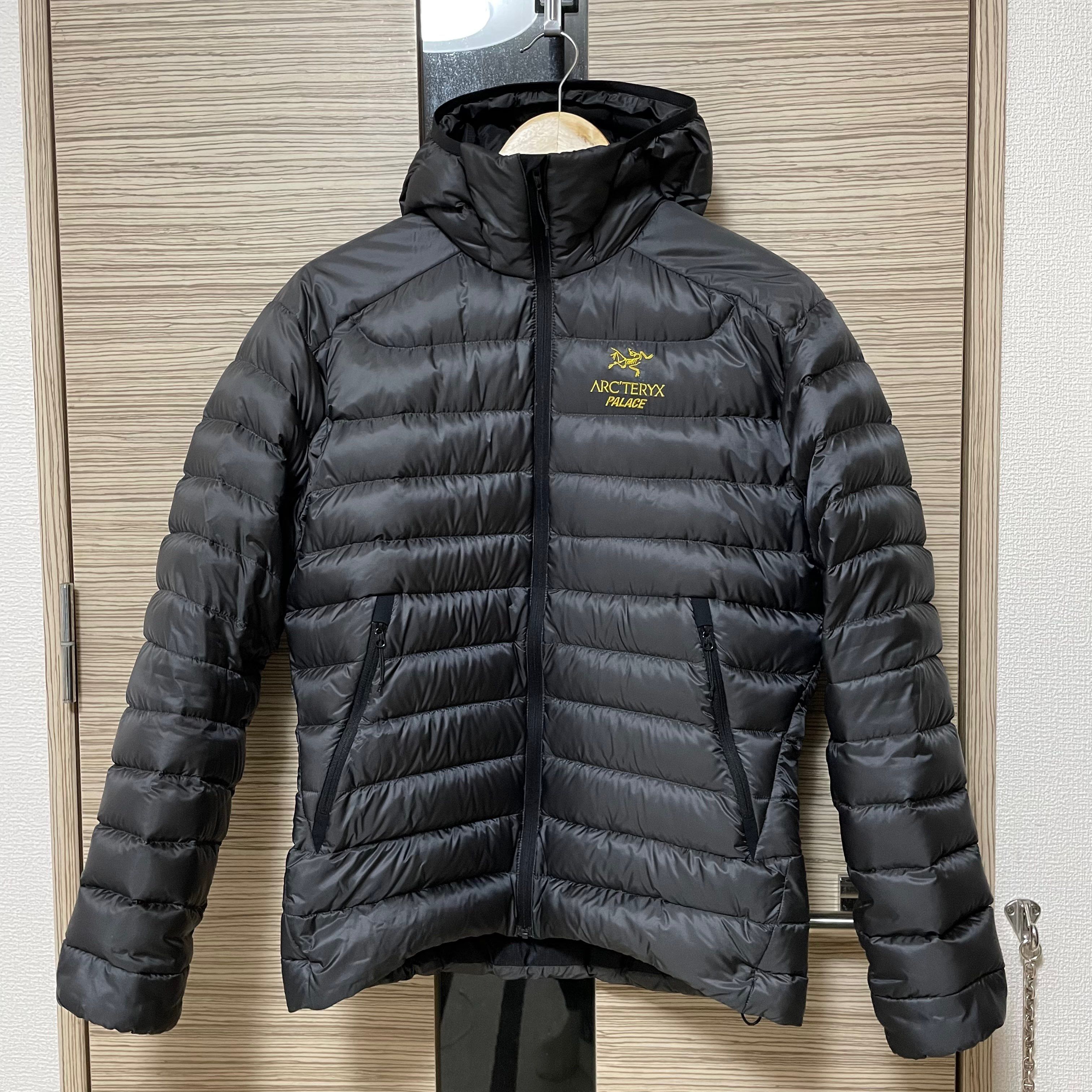 PALACE / Arc'Teryx Alpha Cerium LT Hoodie "Grey"