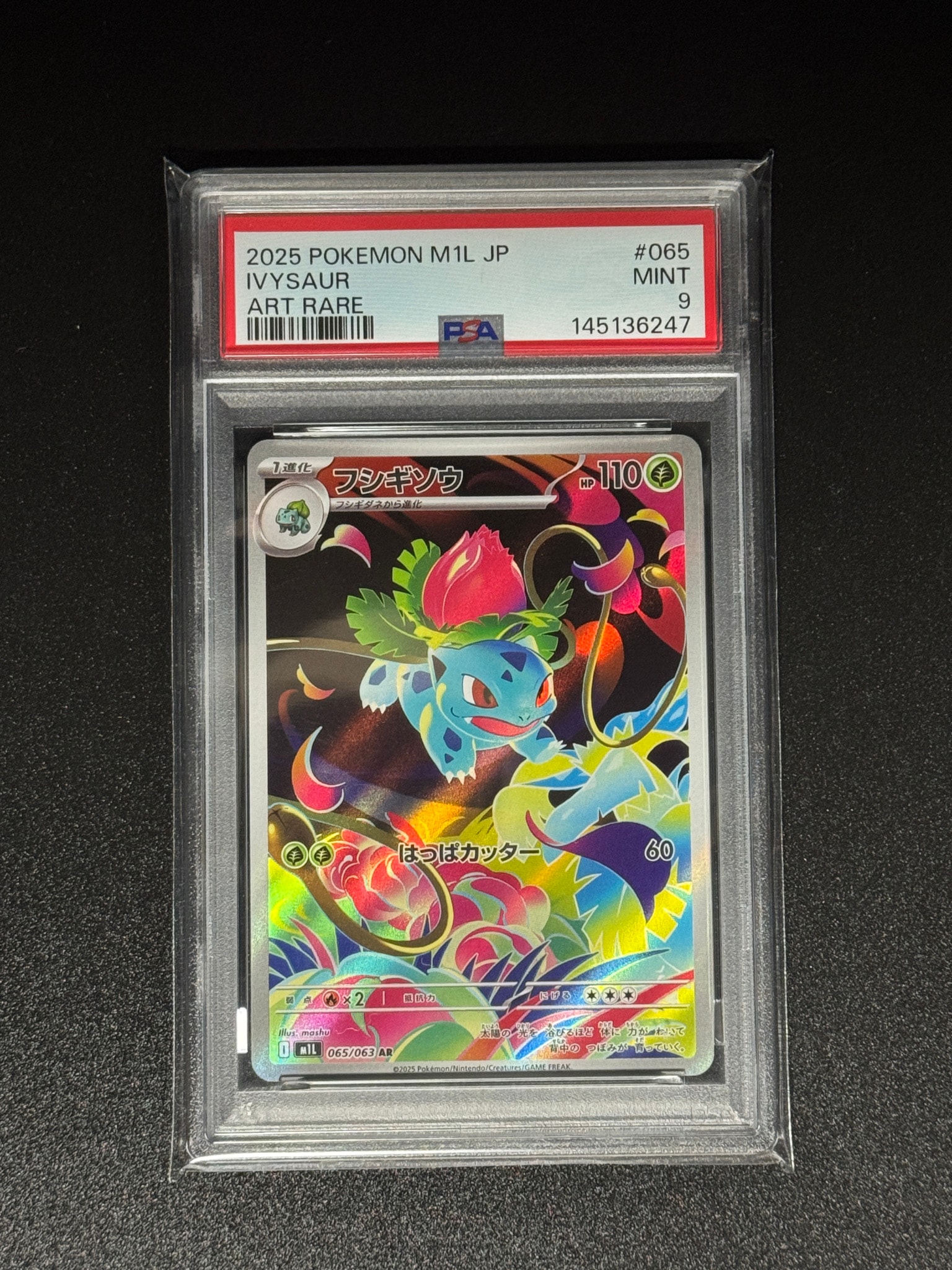 フシギソウ AR [M1L 065/063](拡張パック「メガブレイブ」)通販・買取