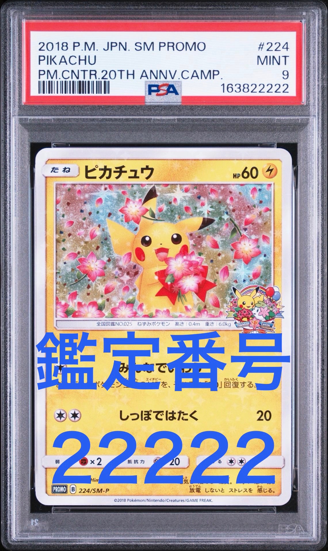ピカチュウ: プロモ[SM-P 224](プロモーションカード「SM-P」)通販