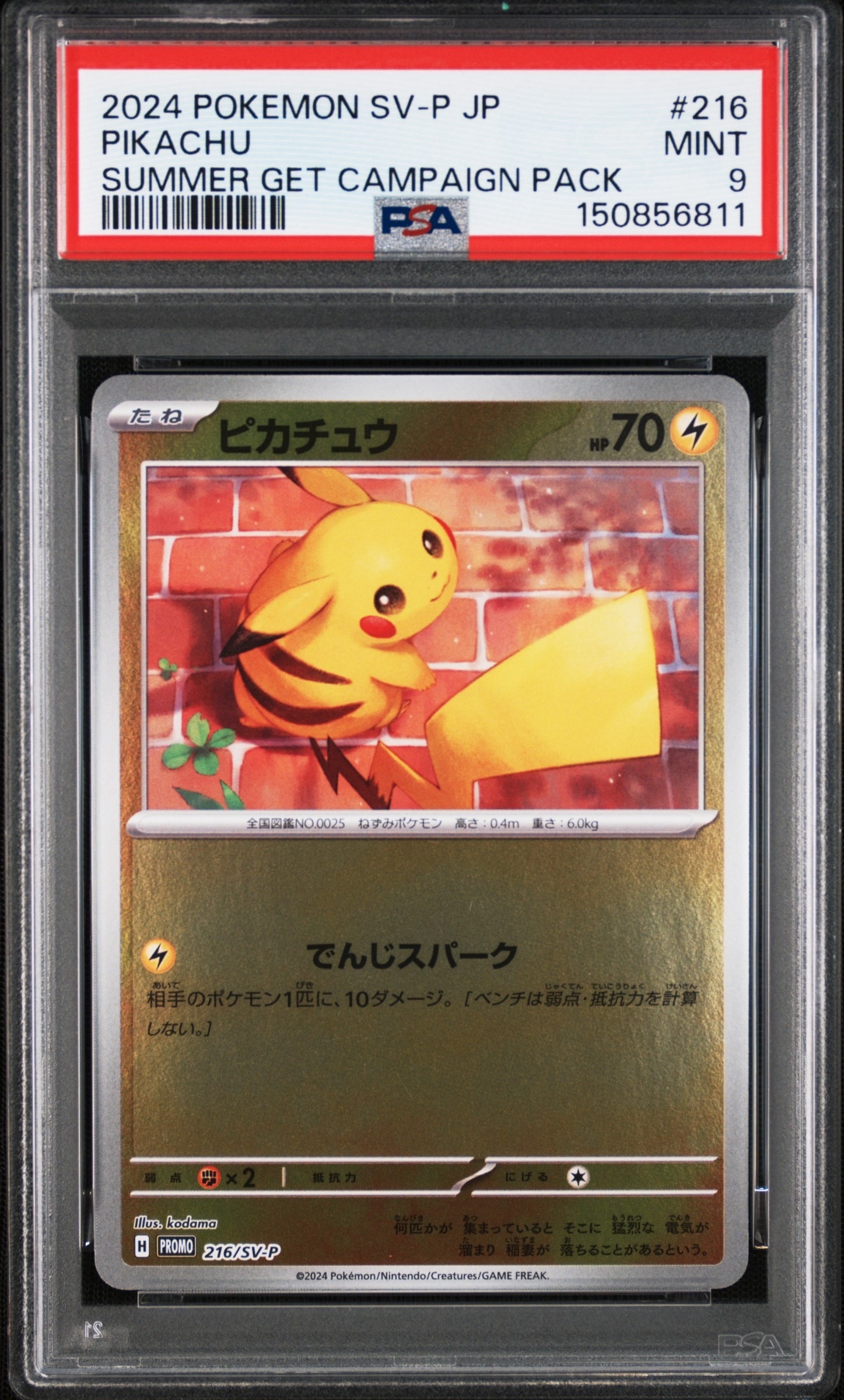 ③PSA9 ピカチュウ　SML 18 サマーゲットキャンペーン　216 PSA9】ピカチュウ P [SV-P 216](プロモカードパック「ポケカの夏がキタ