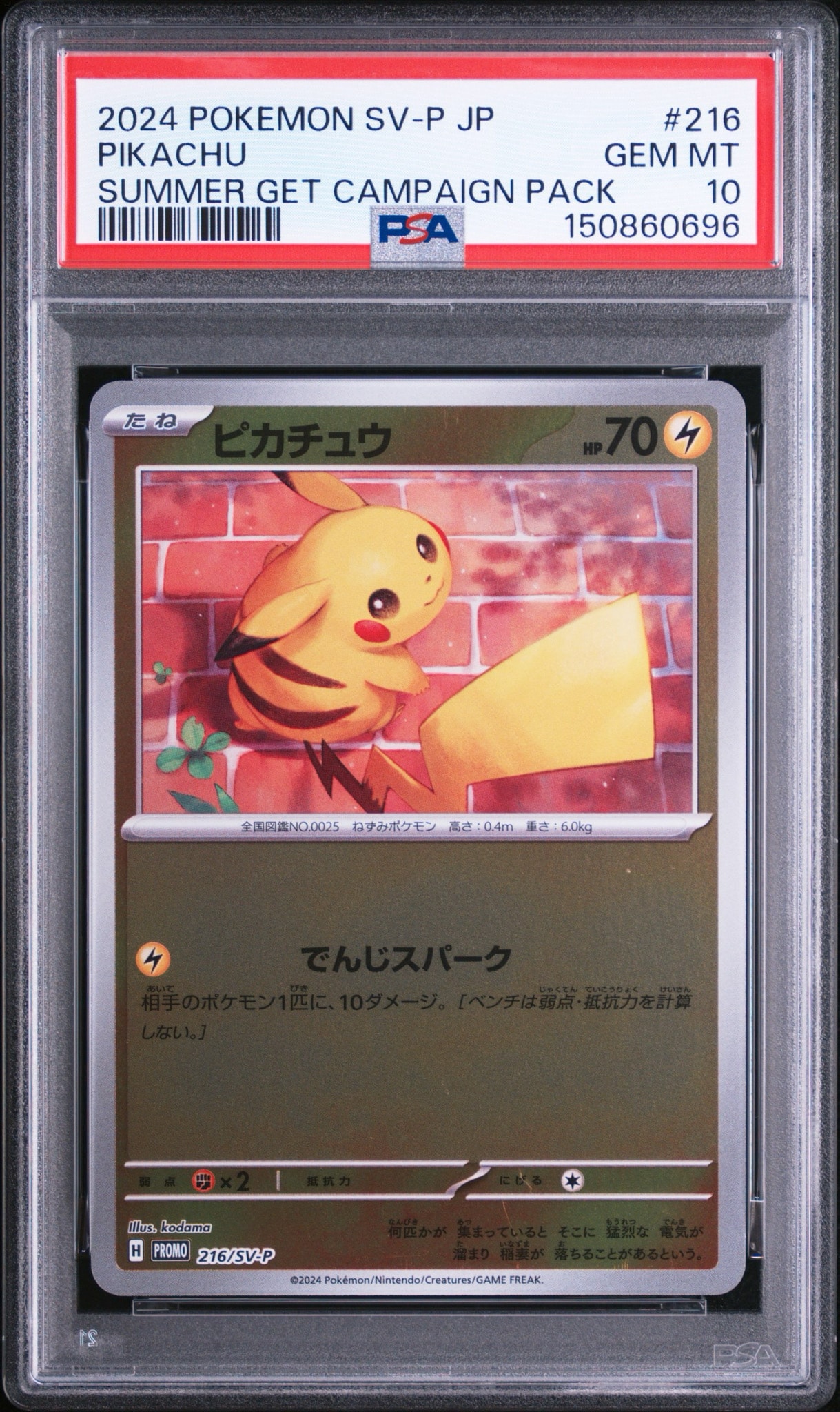 ピカチュウ P [SV-P 216](プロモカードパック「ポケカの夏がキタ