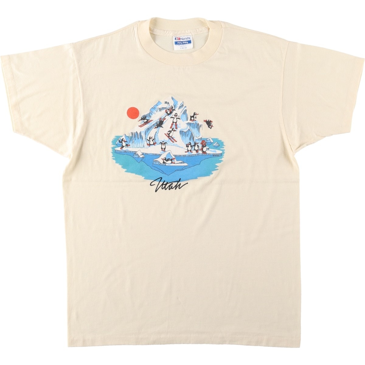 古着 ヘインズ Hanes Fifty-Fifty 青タグ プリントTシャツ USA製 メンズL相当/eaa654840