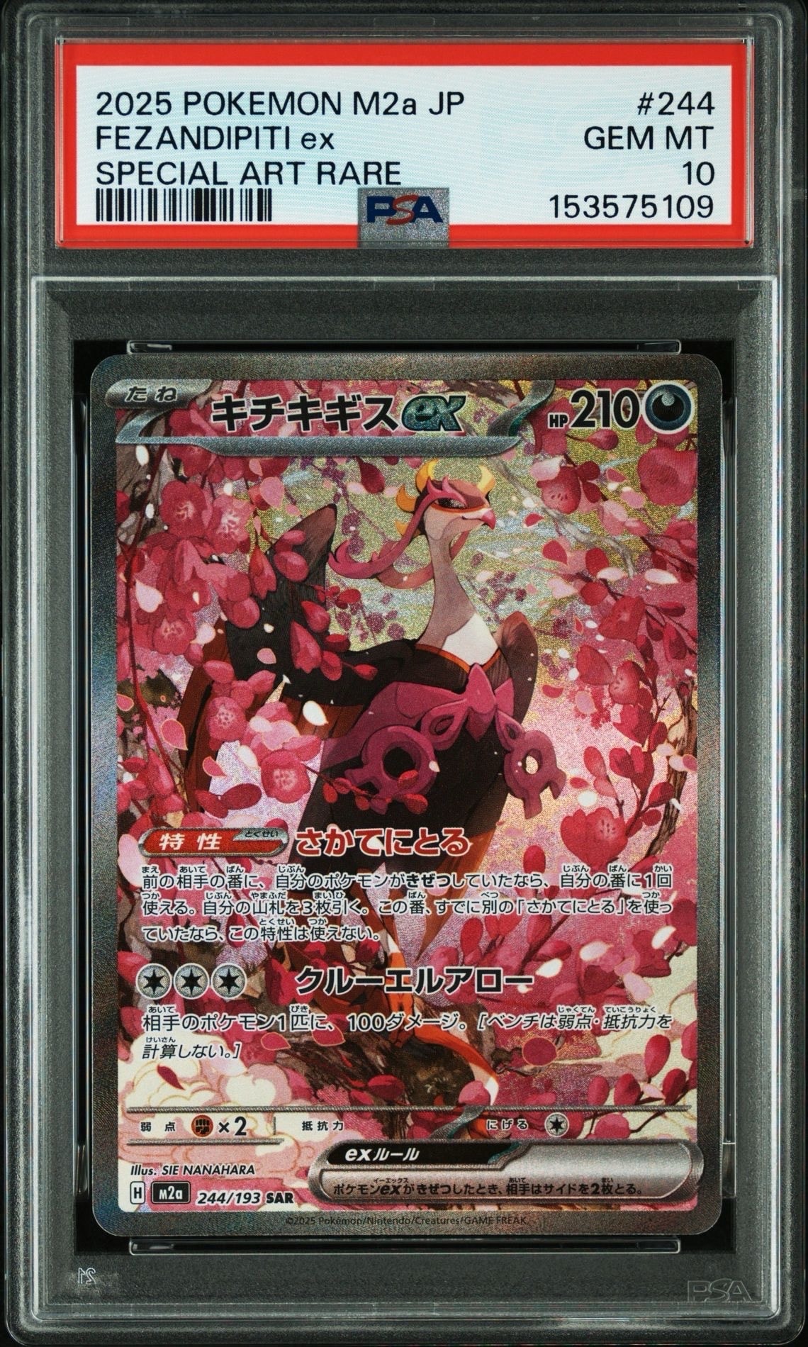 キチキギスex SAR [M2a 244/193](ハイクラスパック「MEGAドリームex」)