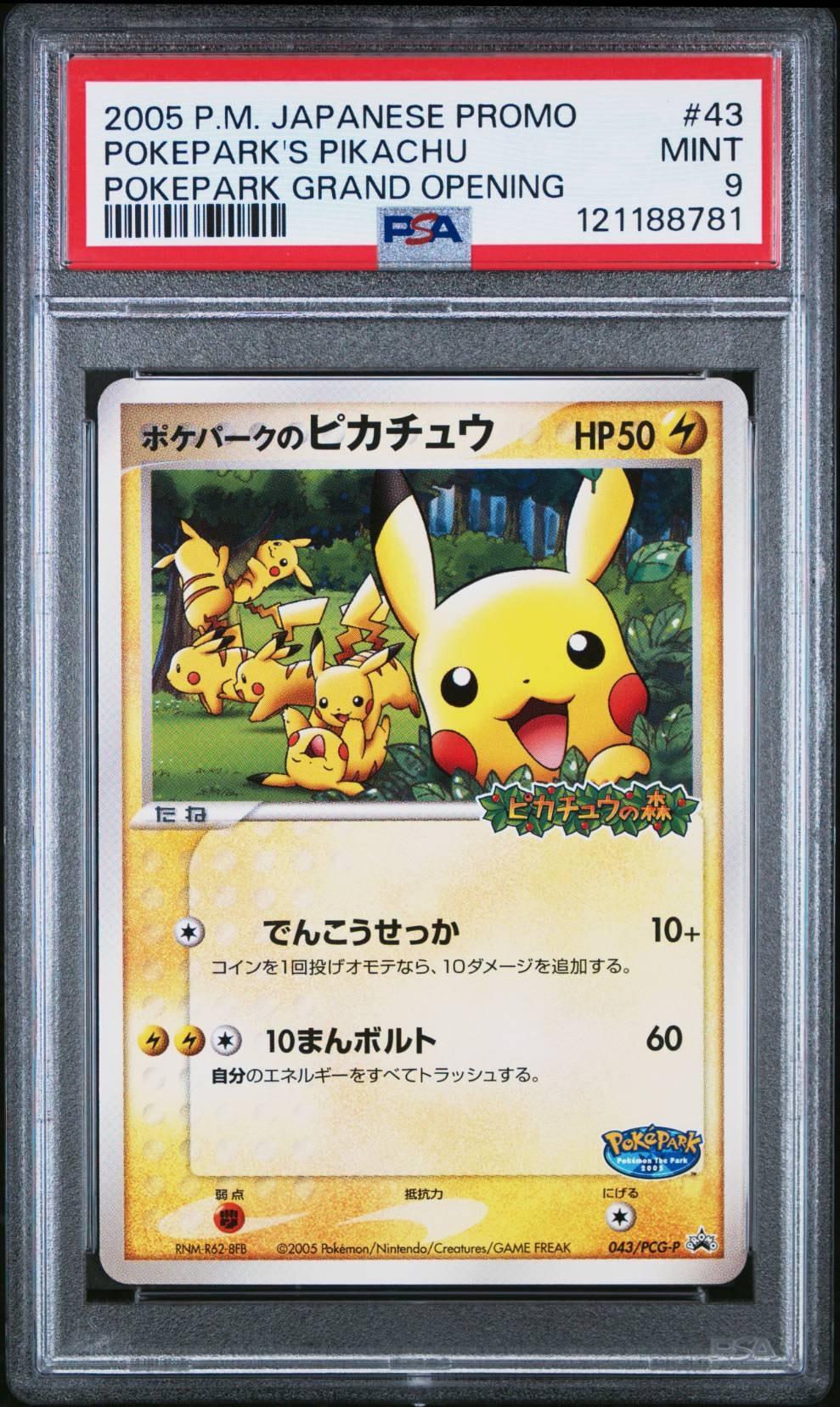 ポケパークのピカチュウ P [PCG-P 043](プロモーションカード「ポケパーク ルギアのくるくるシップ」)