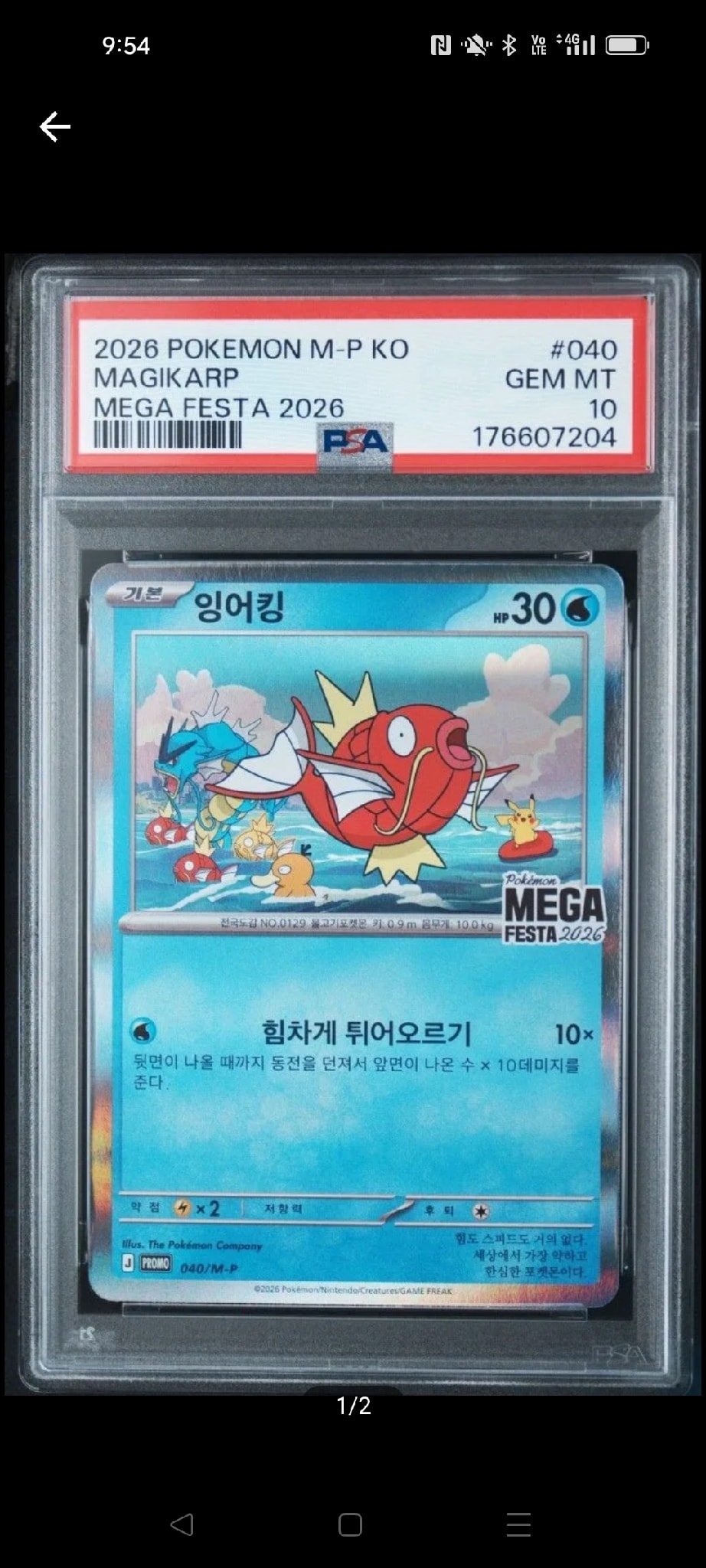 韓国限定 ポケモン ロッテ　コイキング　プロモカード　MEGAフェスタ コイキング プロモ [040/M-P]【韓国語版】(プロモーションカード