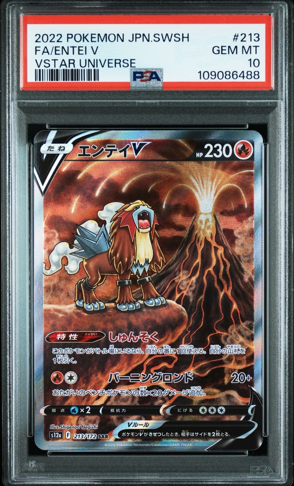エンテイV SAR[s12a 213/172](ハイクラスパック「VSTARユニバース」)