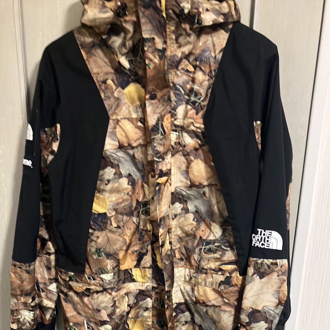 Supreme x The North Face Leaves Mountain Light Jacket "Leaves"
