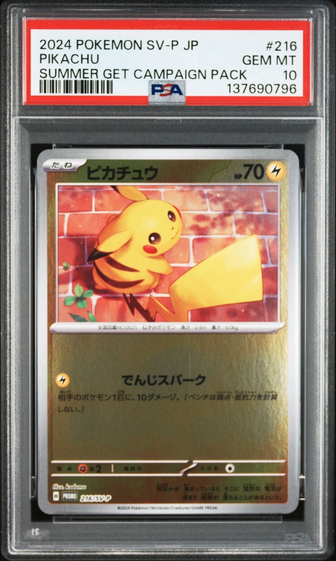 PSA8以下】ピカチュウ P [SV-P 216](プロモカードパック「ポケカの夏が