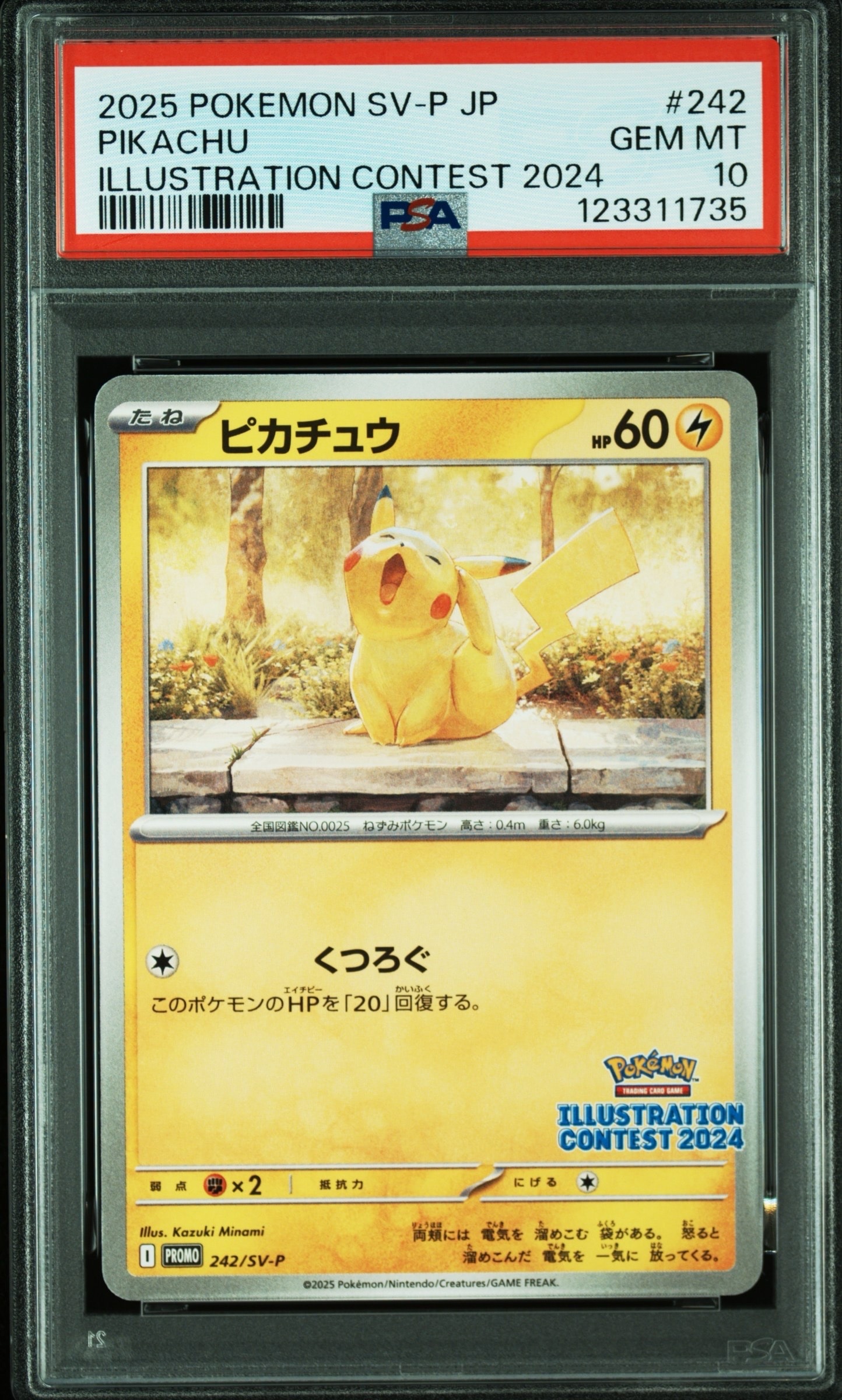 ピカチュウ [SV-P 242](プロモカードパック「イラストレーションコンテスト 2024 受賞作品プロモカード化記念キャンペーン」)