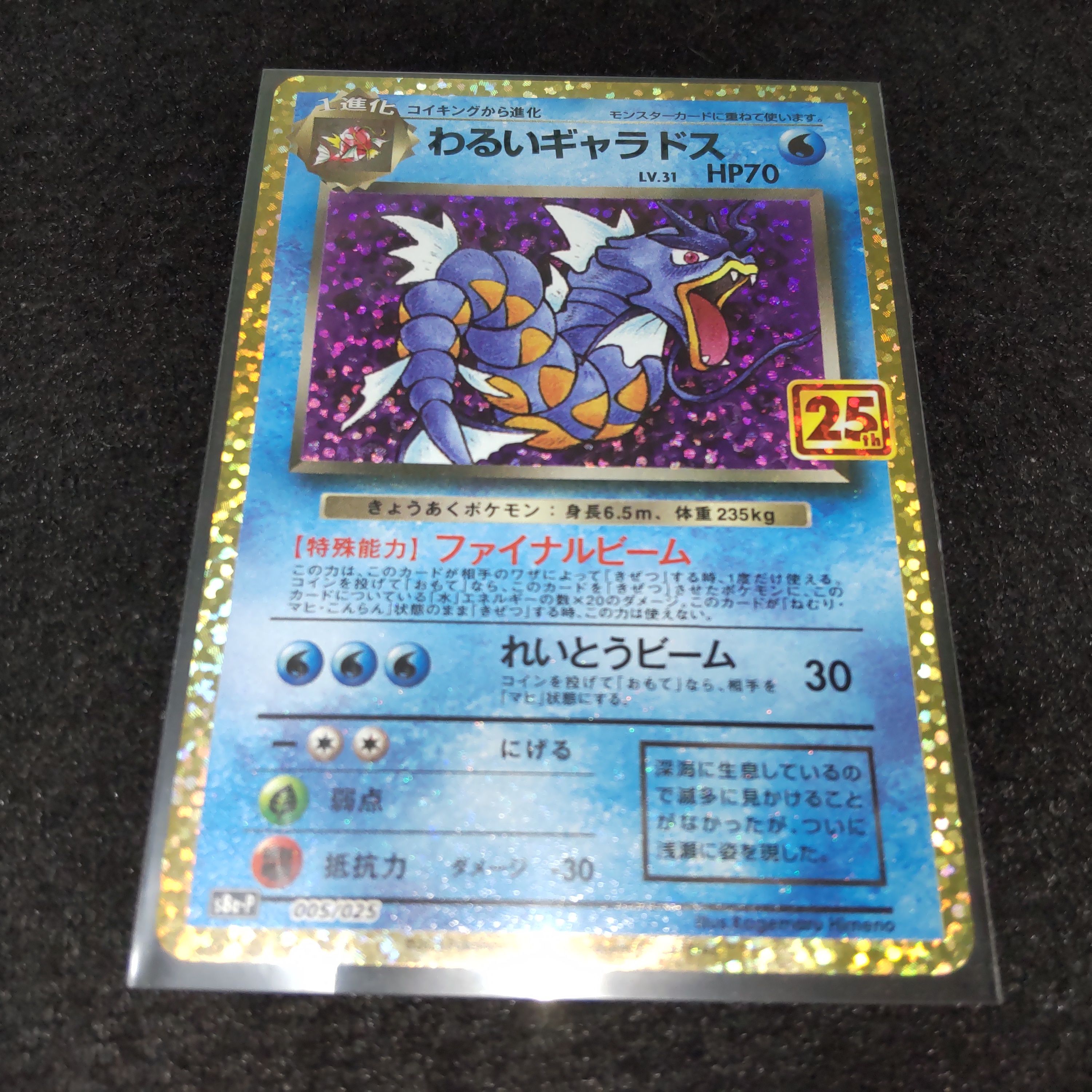 わるいギャラドス: プロモ[S8a-P 005/025](プロモカードパック 25th ANNIVERSARY edition)