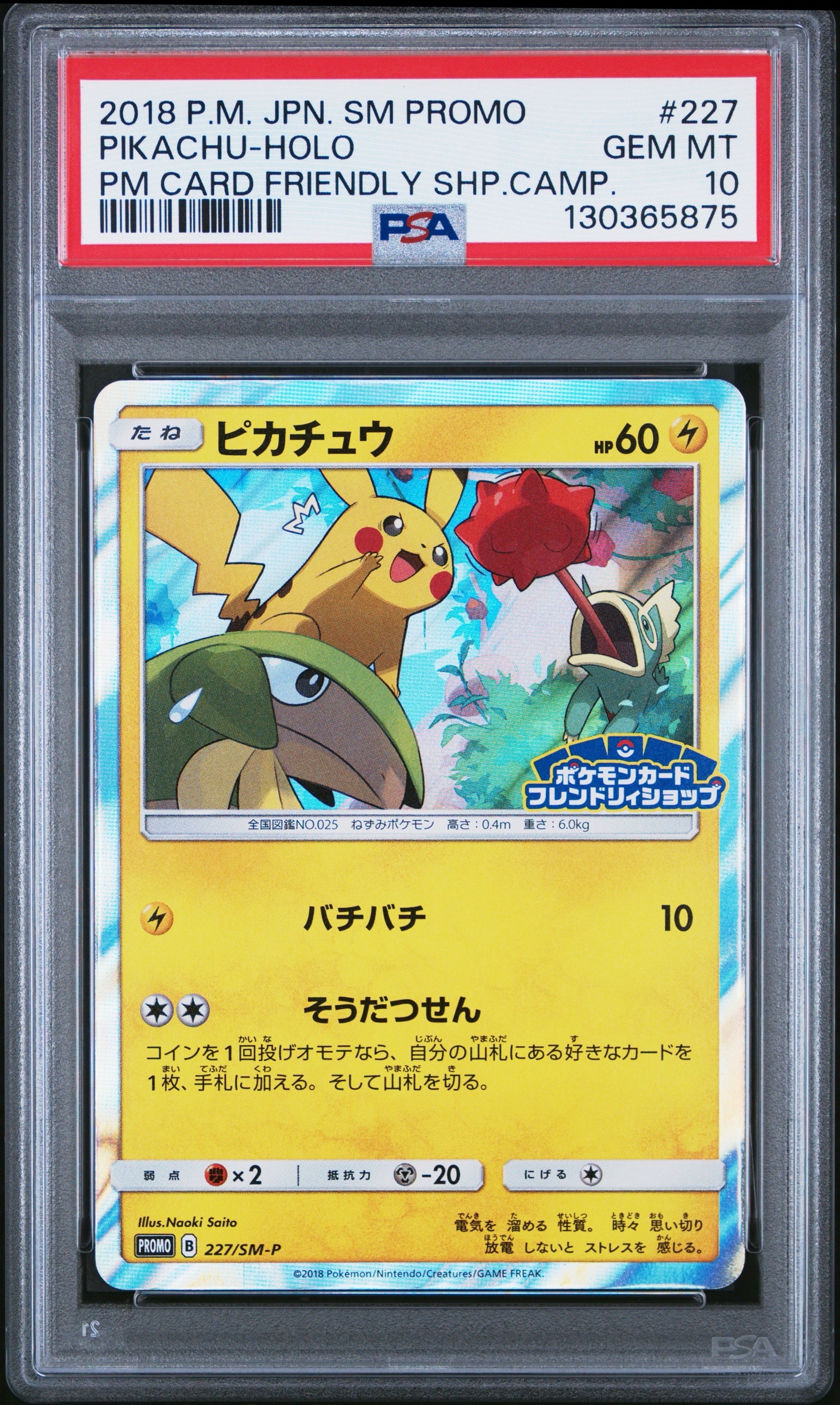 ピカチュウ P [SM-P 227](プロモーションカード「ポケモンカードフレンドリィショップ限定キャンペーン」)