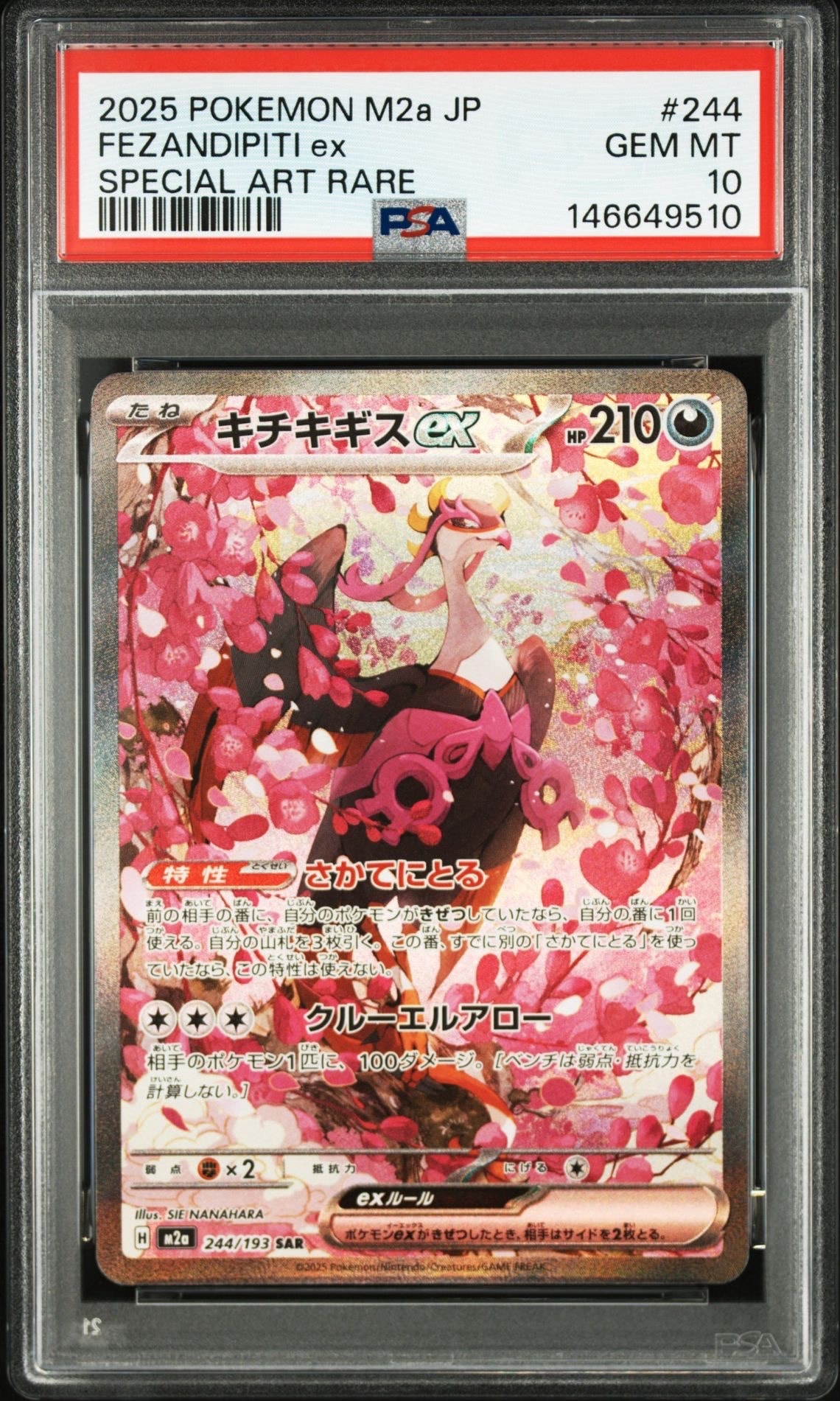 PSA10】キチキギスex SAR [M2a 244/193](ハイクラスパック「MEGA
