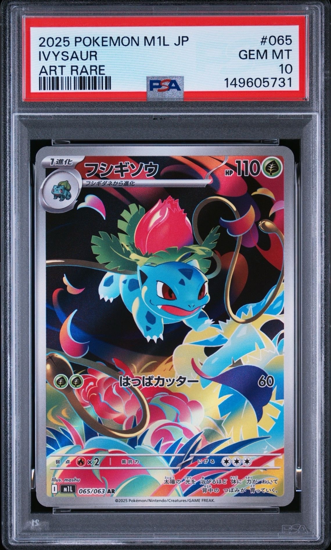 メタモン R[PCG6 033/086](拡張パック「ホロンの研究塔」)の新品/中古