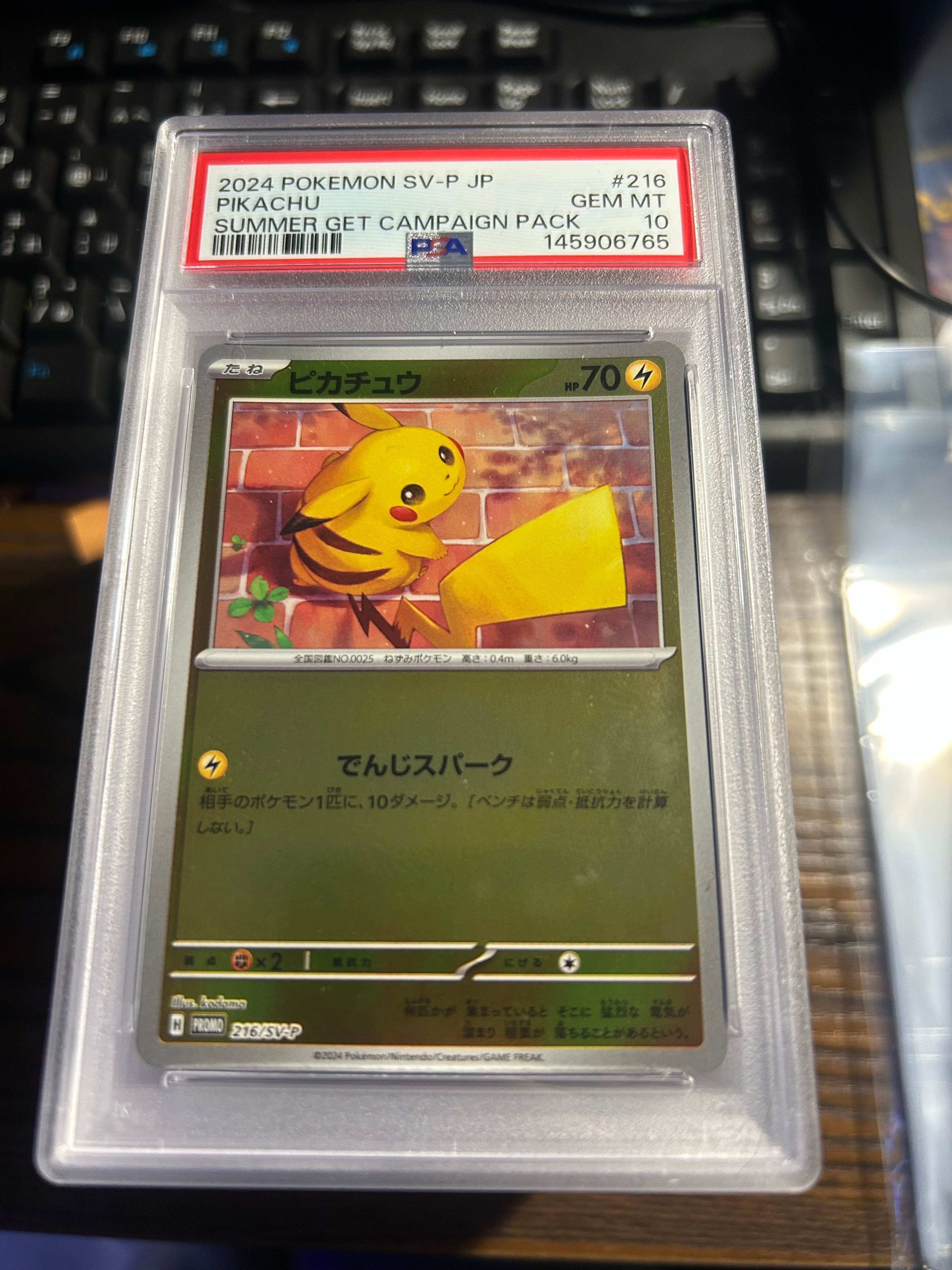 PSA10】ピカチュウ P [SV-P 216](プロモカードパック「ポケカの夏が
