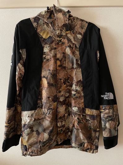 Supreme x The North Face Leaves Mountain Light Jacket "Leaves"