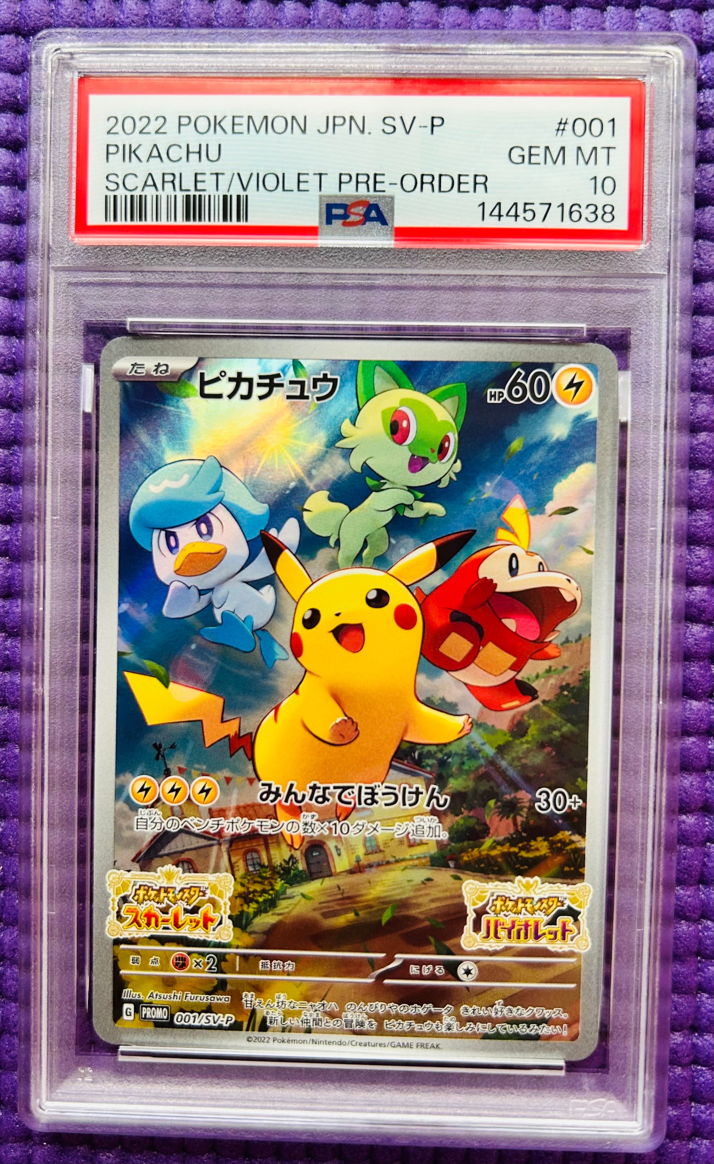 ピカチュウ P [SV-P 216](プロモカードパック「ポケカの夏がキタ