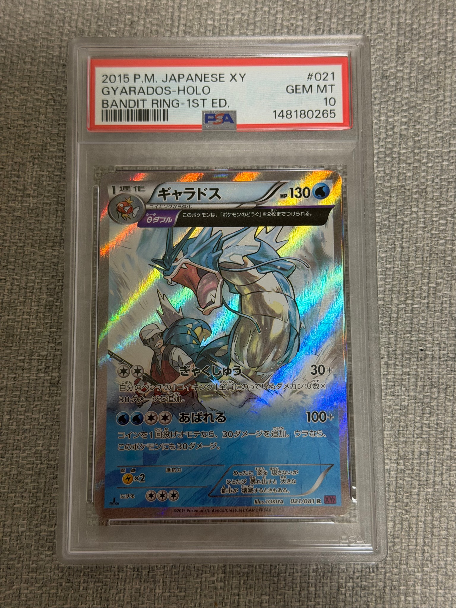 ギャラドス R :1ED [XY7 021/081](拡張パック「バンデットリング