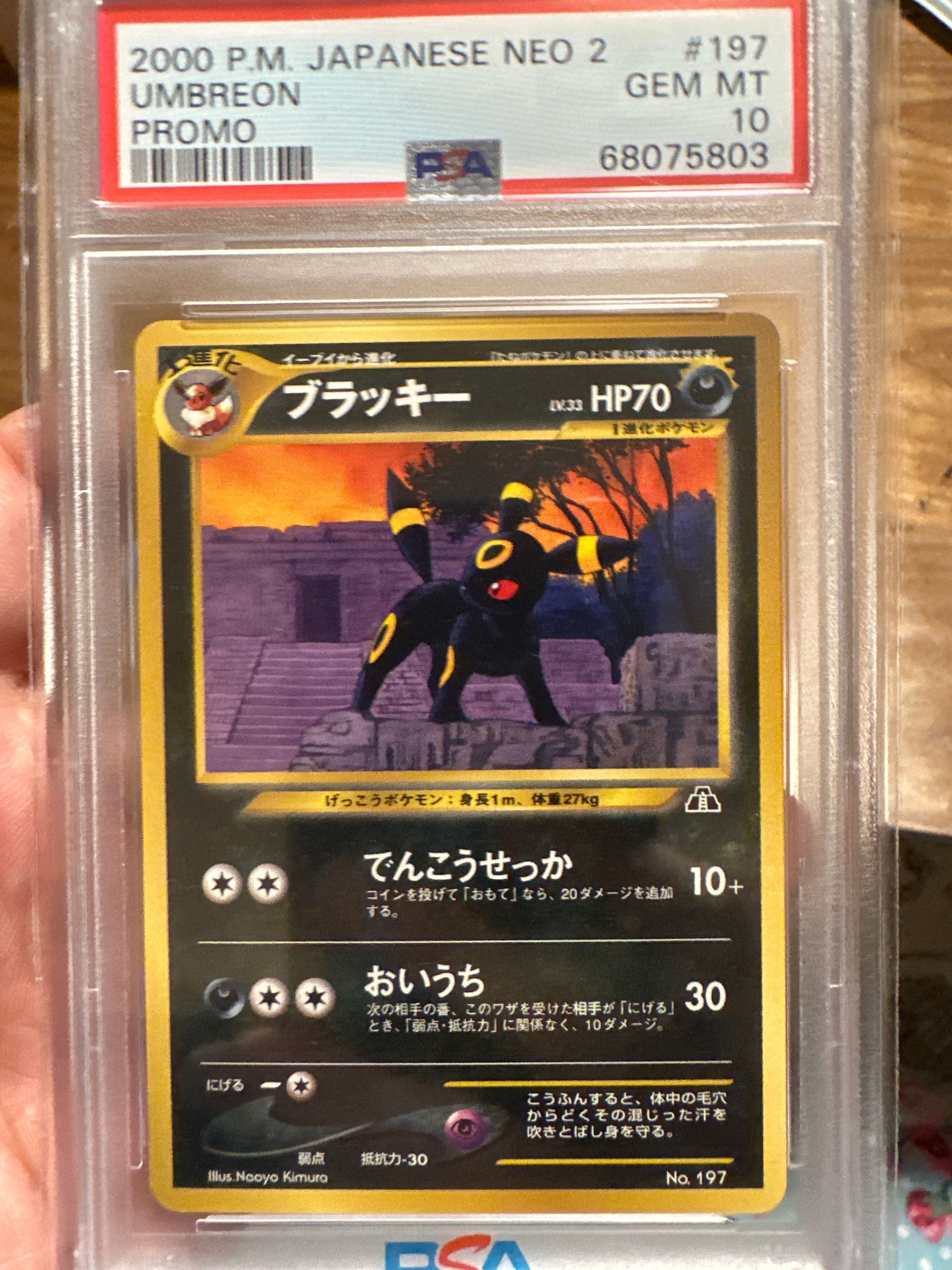 ブラッキープレミアムファイル2: 旧裏[neoP2 No.197](プレミアムファイル2)