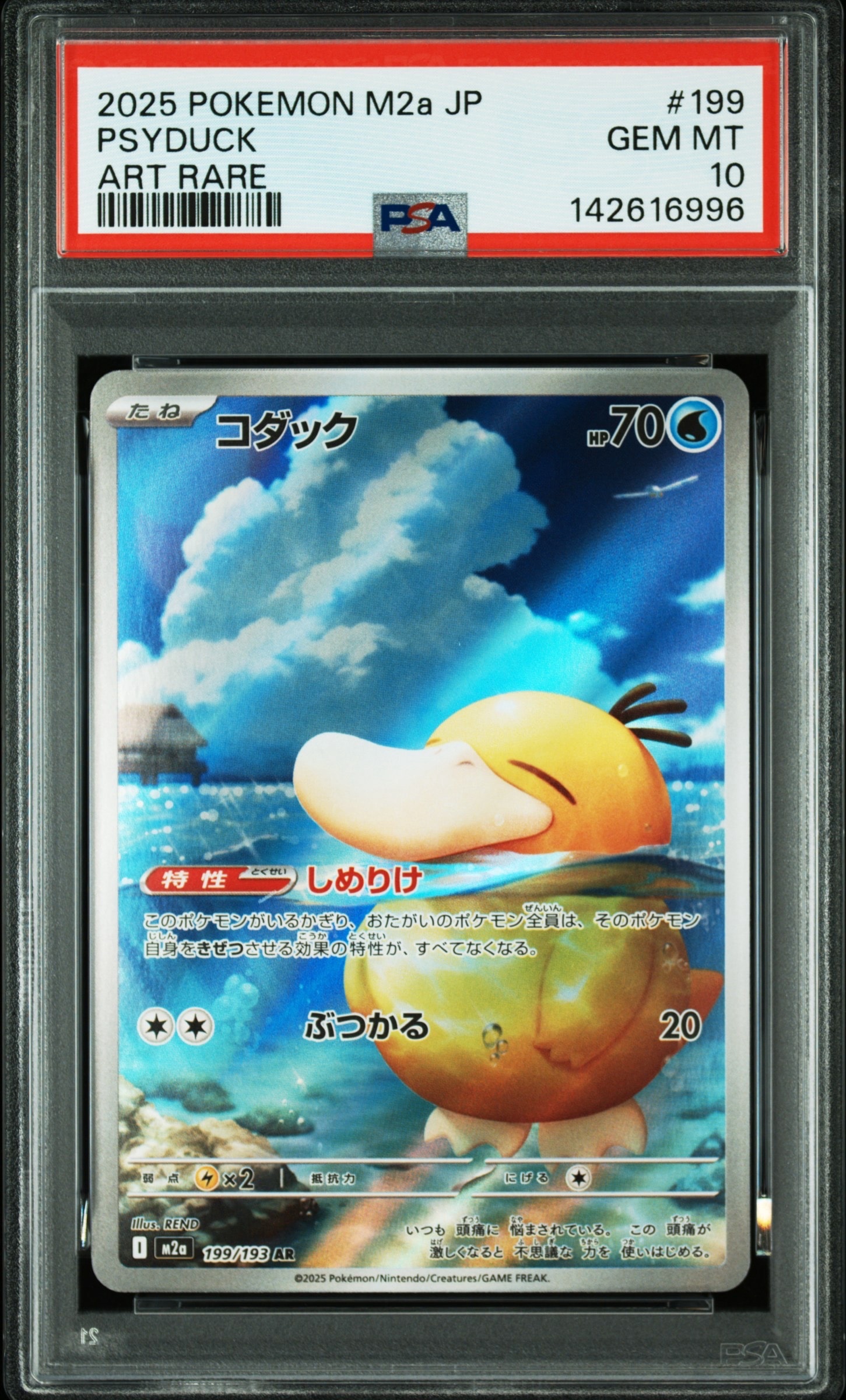 コダック AR [M2a 199/193](ハイクラスパック「MEGAドリームex」)