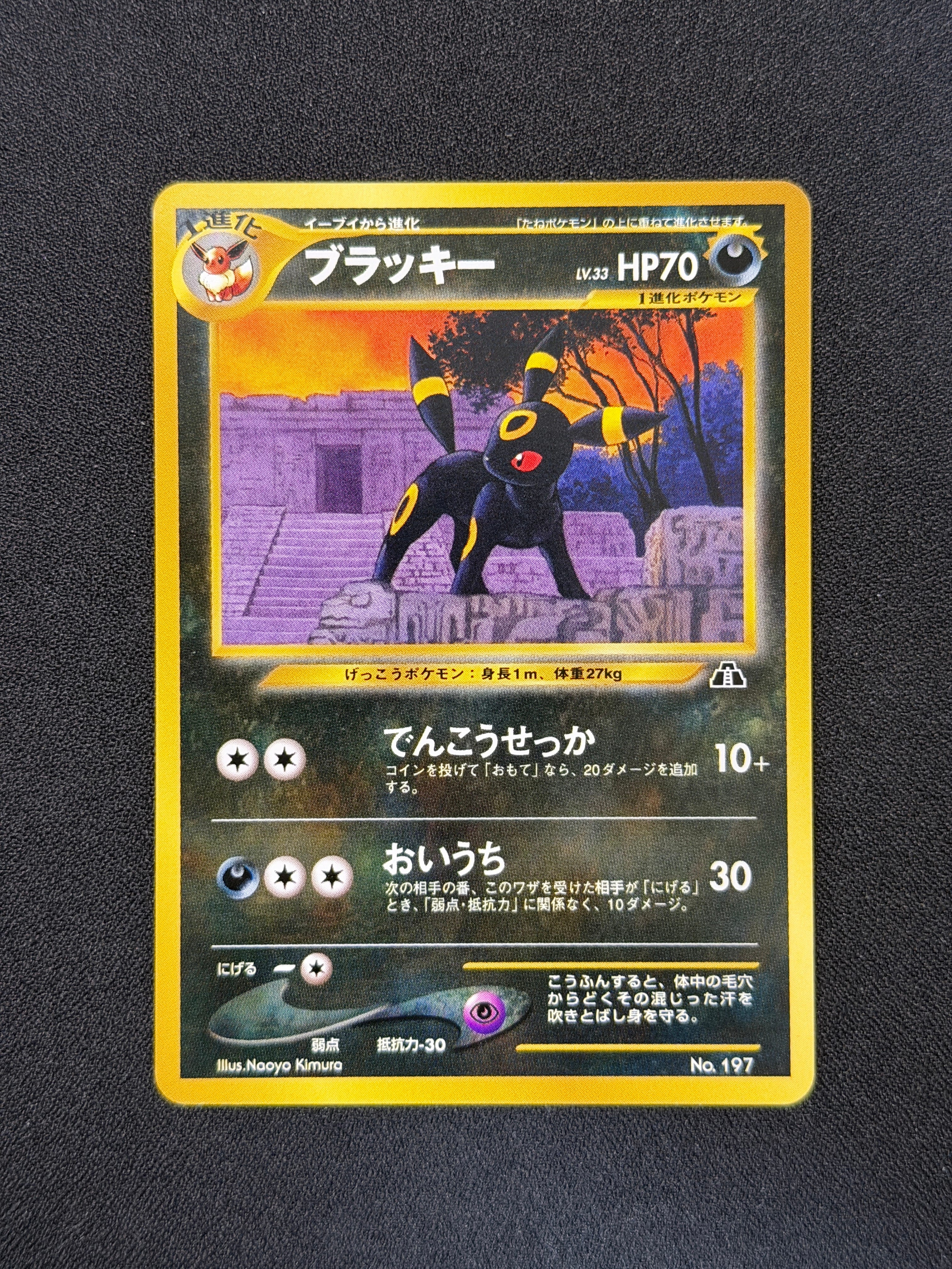 ブラッキープレミアムファイル2: 旧裏[neoP2 No.197](プレミアムファイル2)