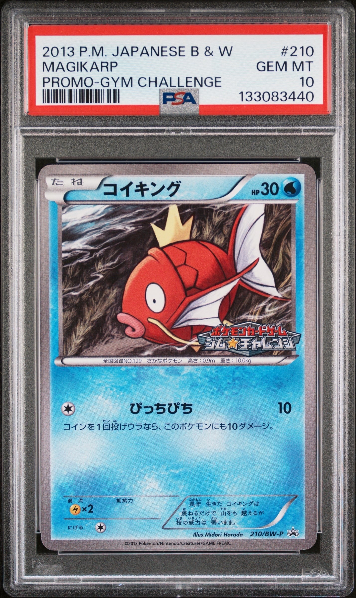 コイキング　ジムチャレンジ　プロモ　210　BW-P psa10 PSA10】コイキング P [BW-P 210/BW-P](プロモーションカードパック