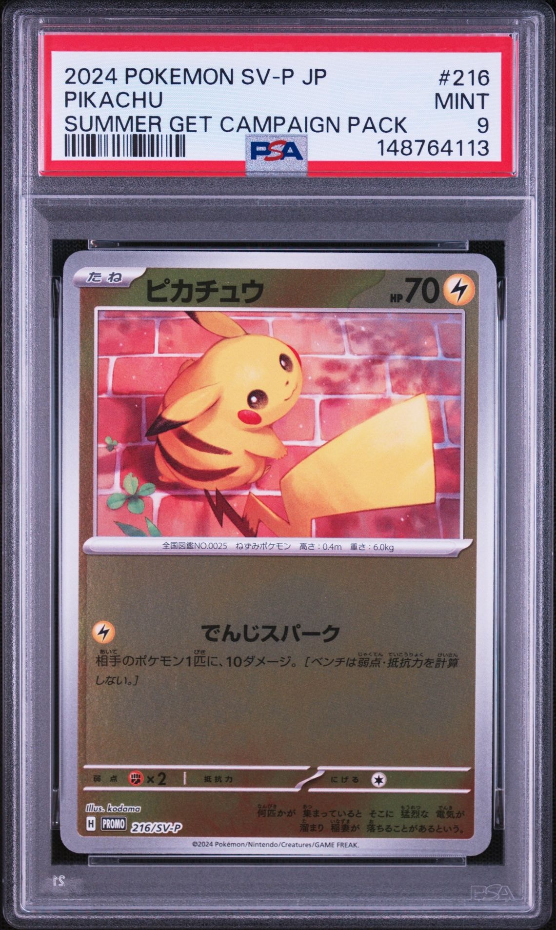 PSA10】ピカチュウ P [SV-P 216](プロモカードパック「ポケカの夏が