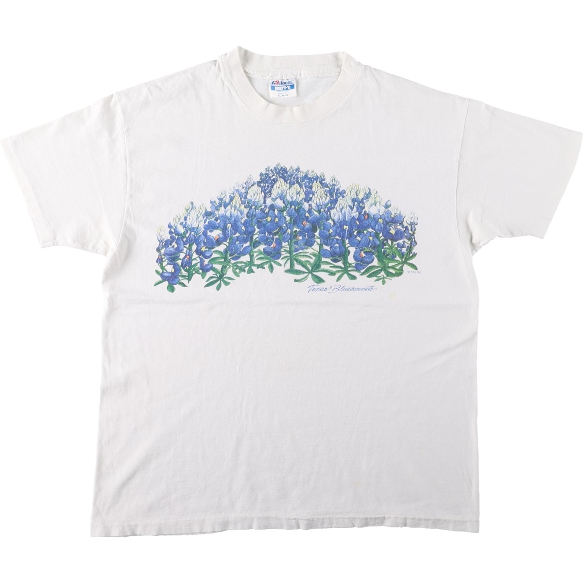 古着 80年代 ヘインズ Hanes BEEFY-T 青タグ 花柄 アートTシャツ USA製 メンズXL相当 ヴィンテージ/eaa669998
