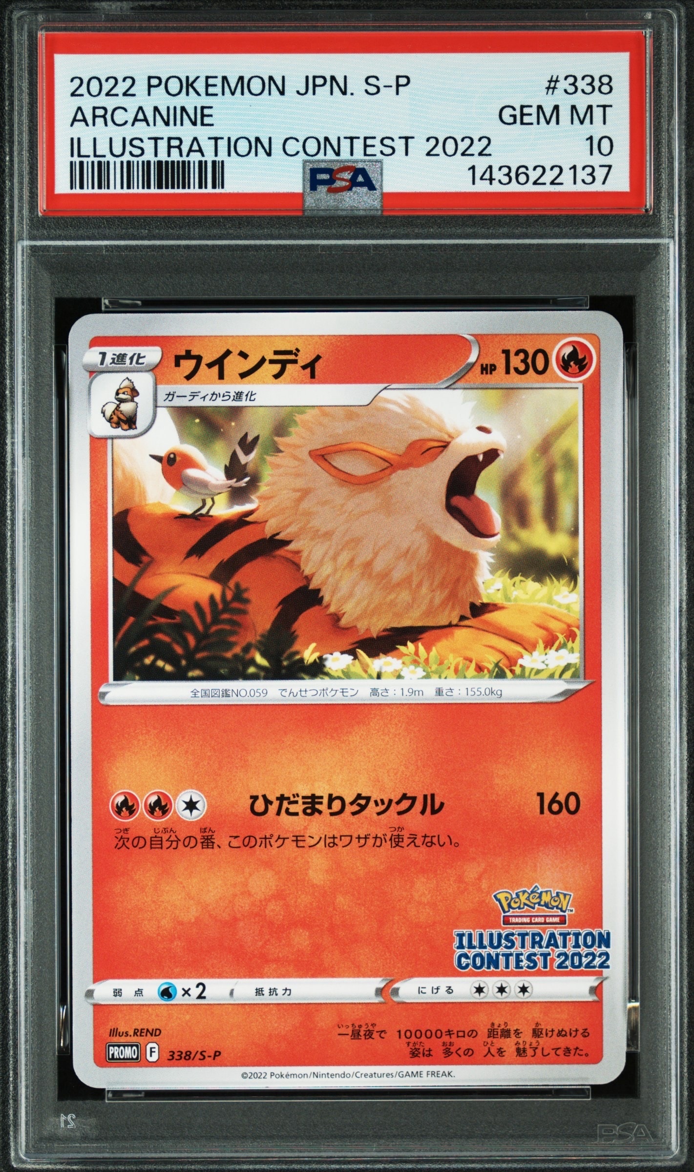 PSA10】イーブイ&カビゴンGX: プロモ [SM-P 297](プロモーションカード