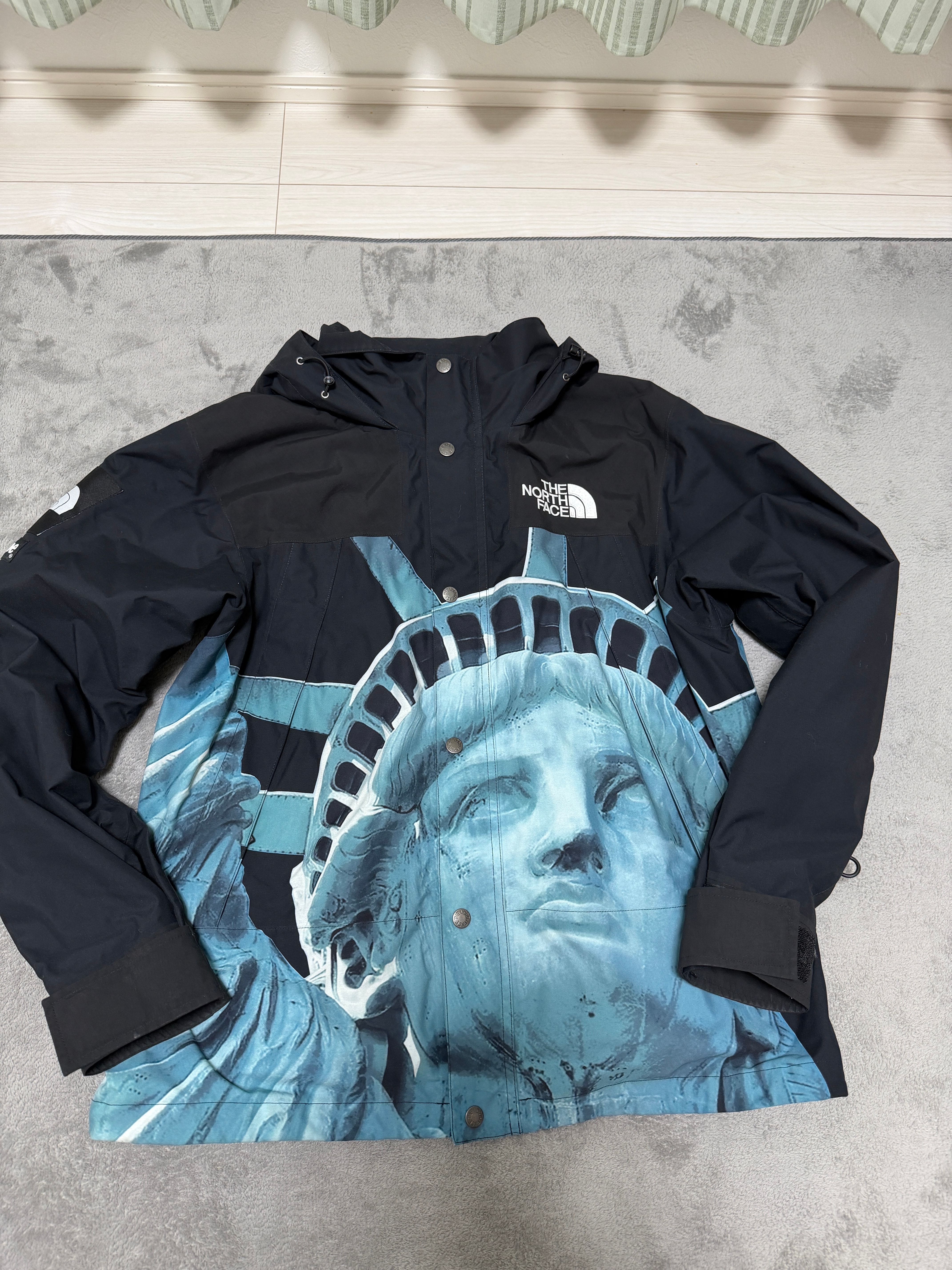 Supreme x The North Face Statue of Liberty Mountain Jacket 