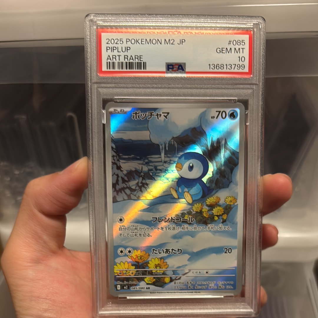 PSA10ポッチャマ AR [M2 085/080](拡張パック「インフェルノX PSA10】ポッチャマ AR [M2 085/080](拡張パック「インフェルノX」) 1枚