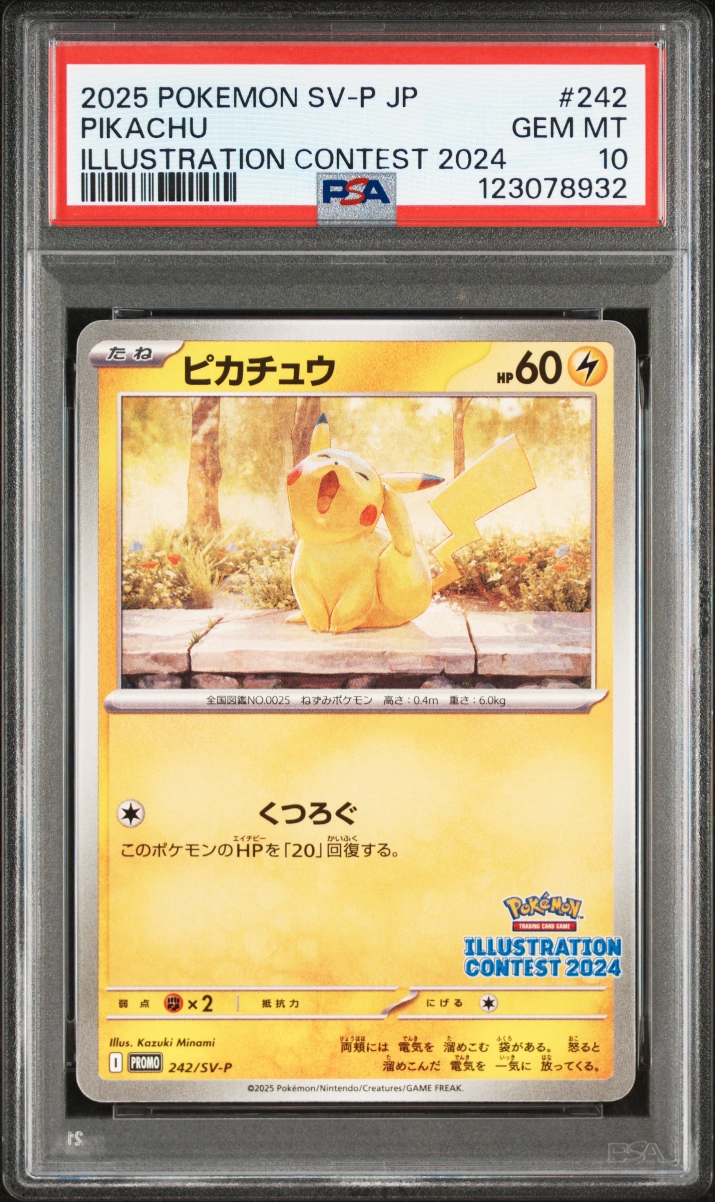ピカチュウ [SV-P 242](プロモカードパック「イラストレーションコンテスト 2024 受賞作品プロモカード化記念キャンペーン」)