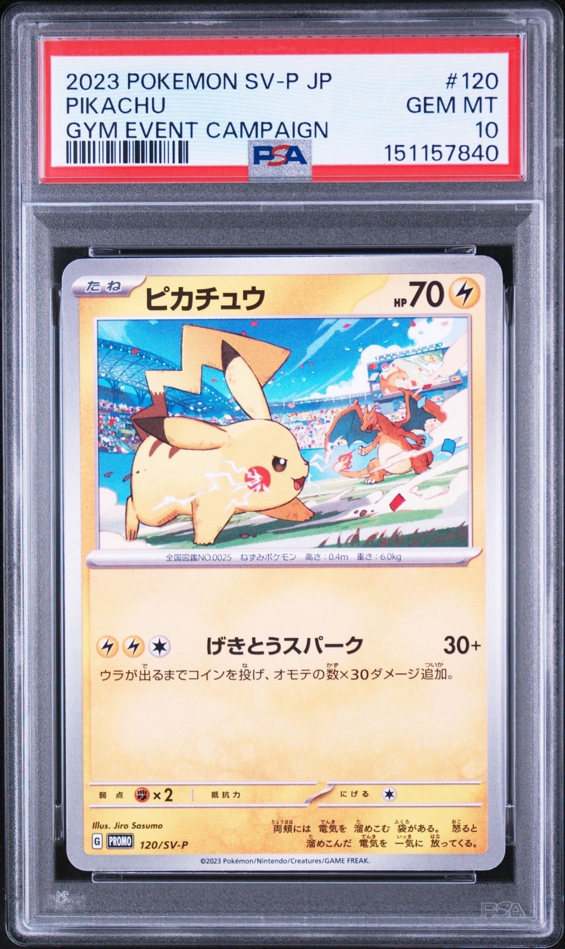 ピカチュウ: プロモ [SV-P 120](プロモーションカード「SV-P」)の新品