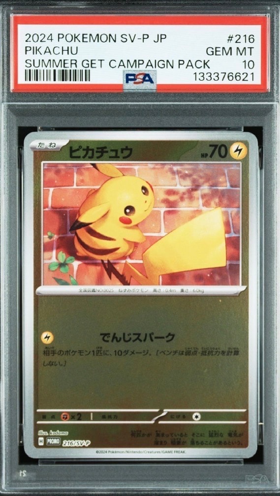 ピカチュウ P [SV-P 216](プロモカードパック「ポケカの夏がキタ!プロモカードGetキャンペーン!」)